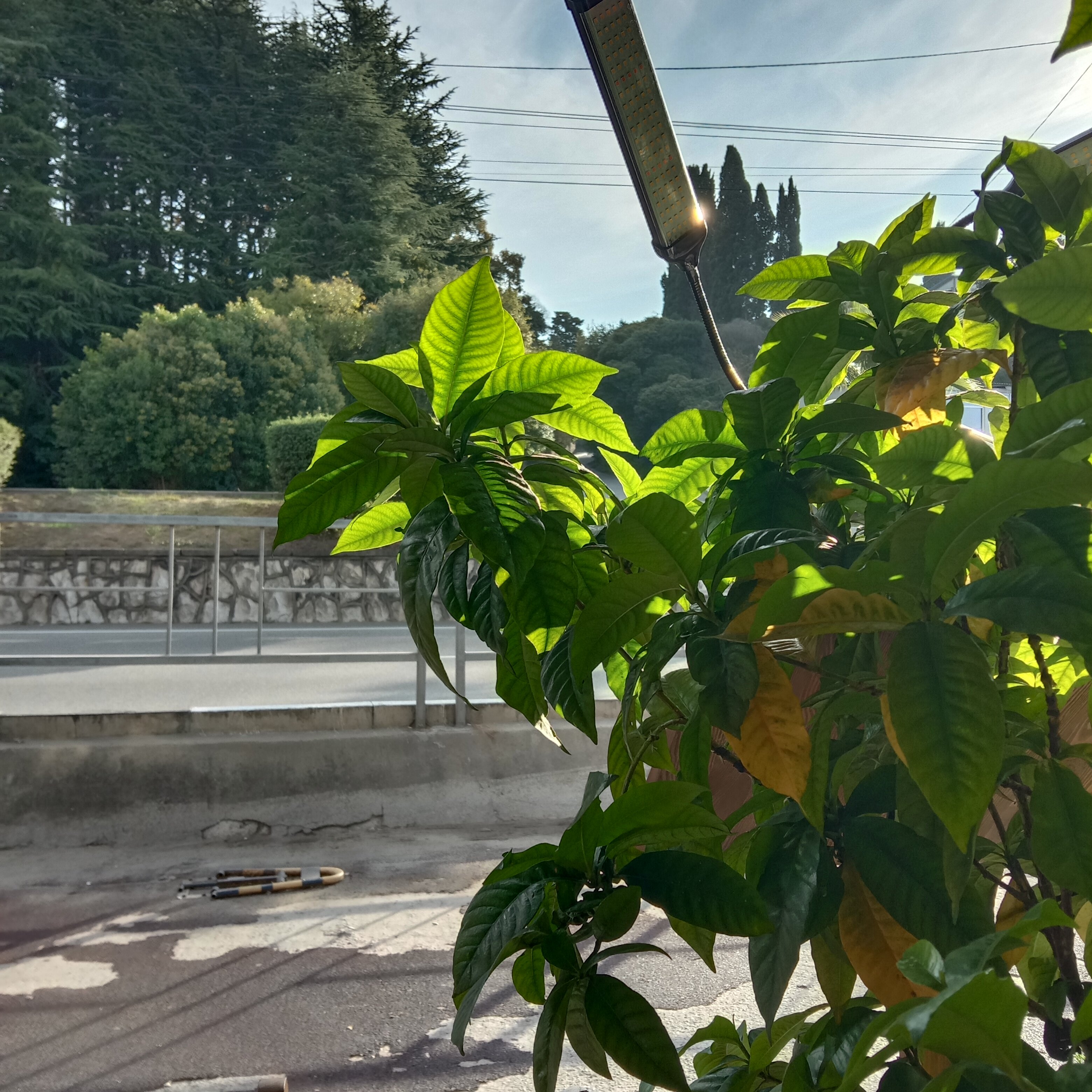 Фото Варвара