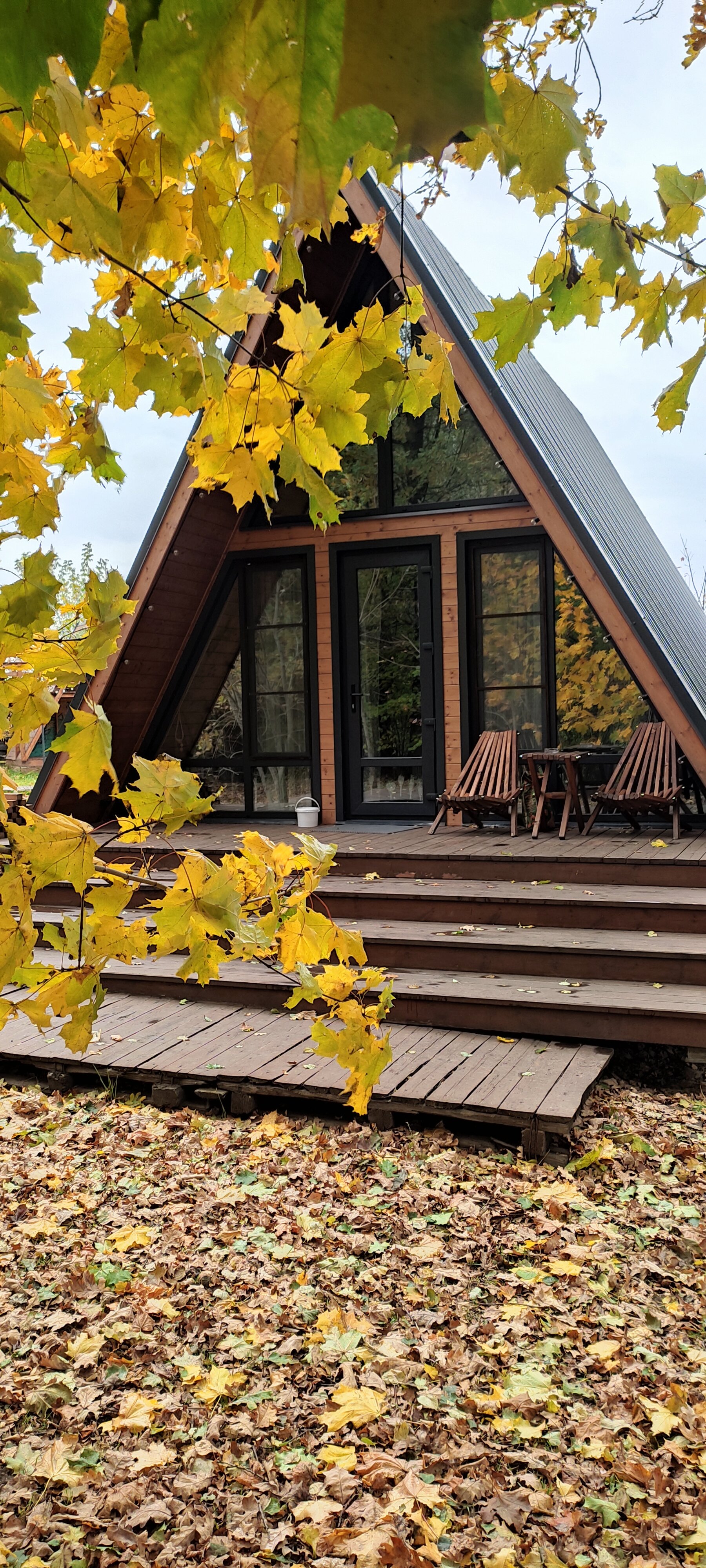 Фото Жёлуди