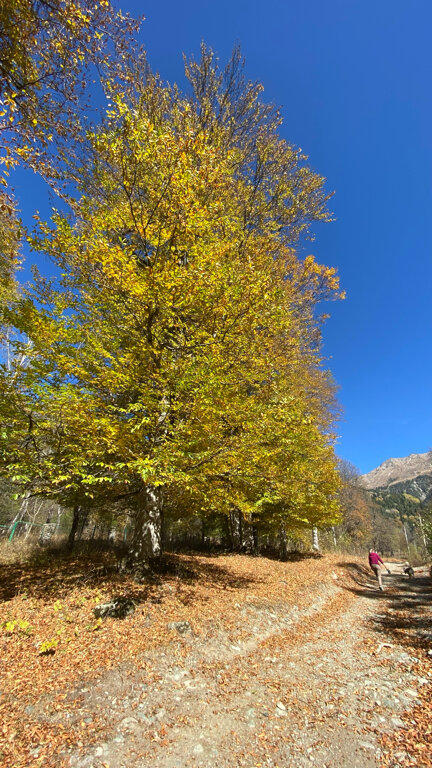 Фото Горный приют Base Camp