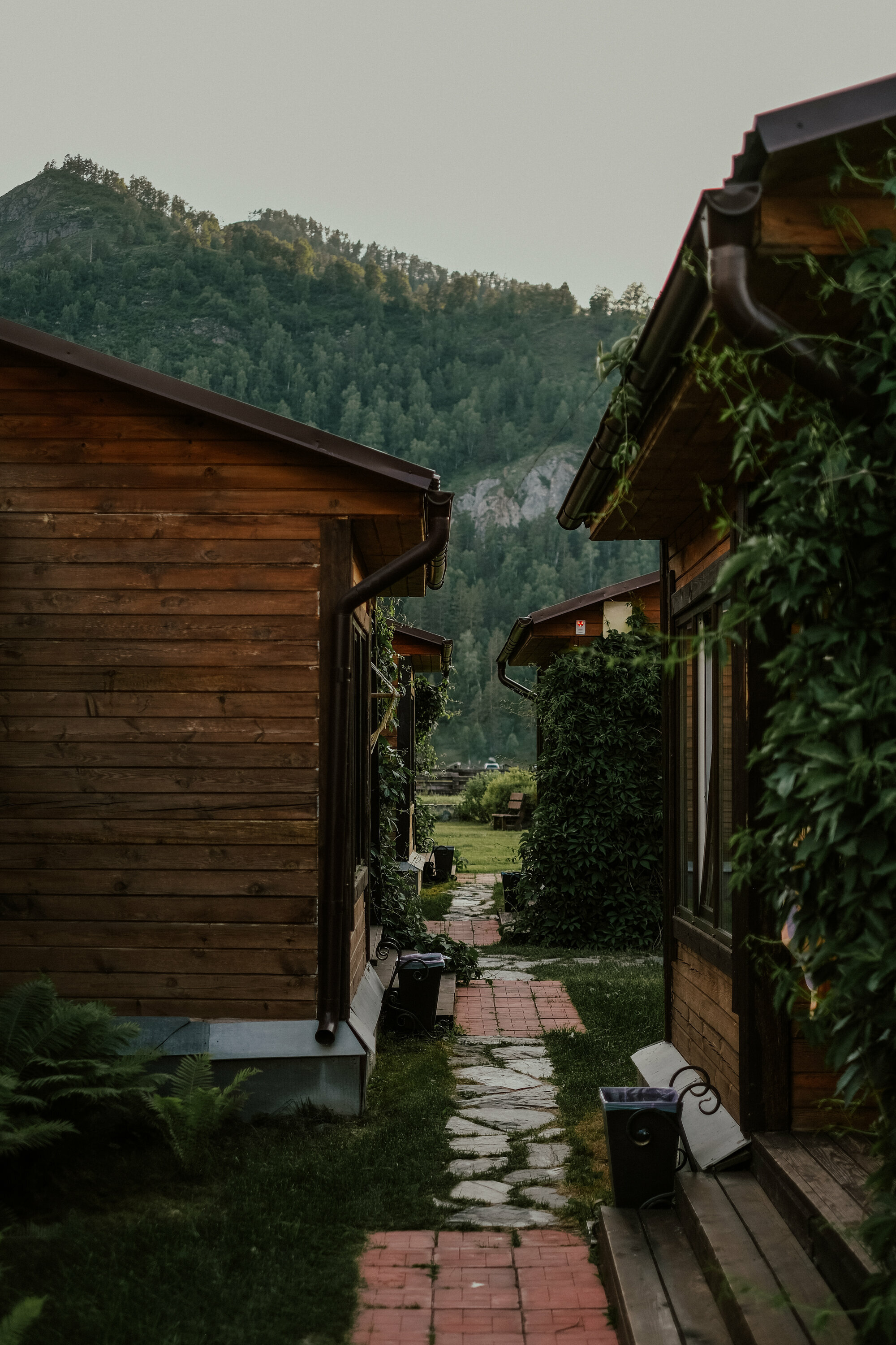 Фото Алтай Рай