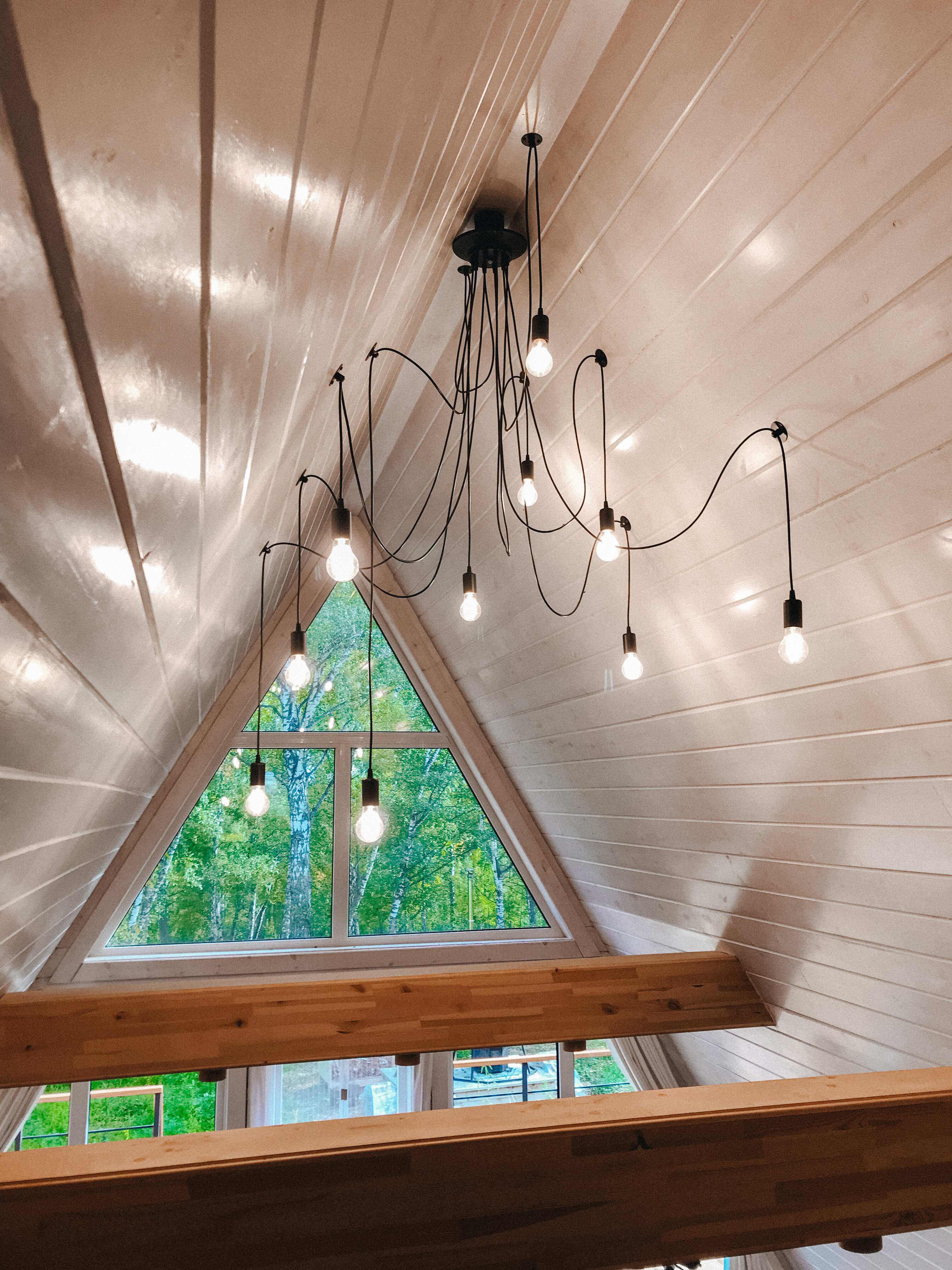 Фото Лисий нос