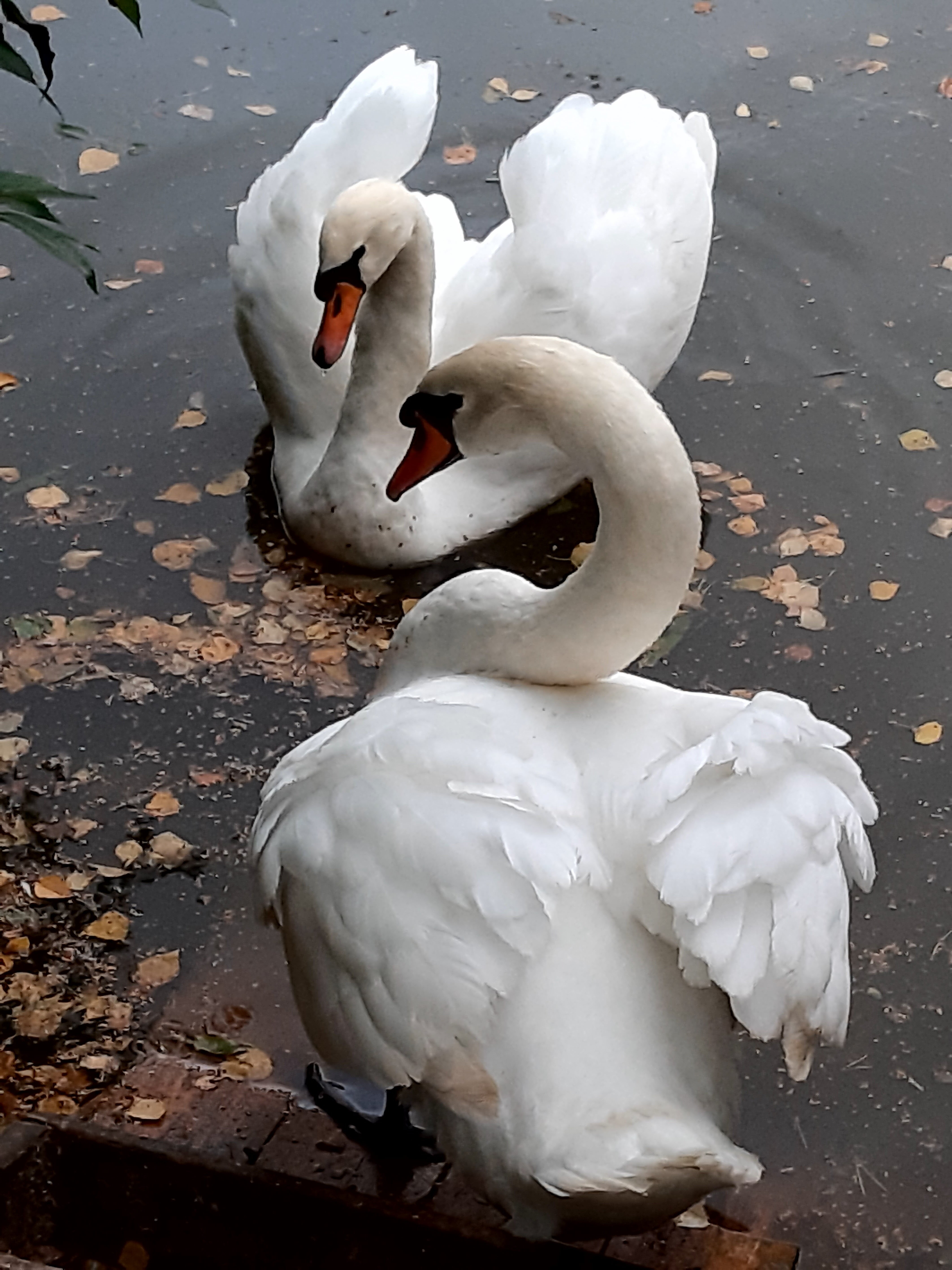 Фото Эко Парк