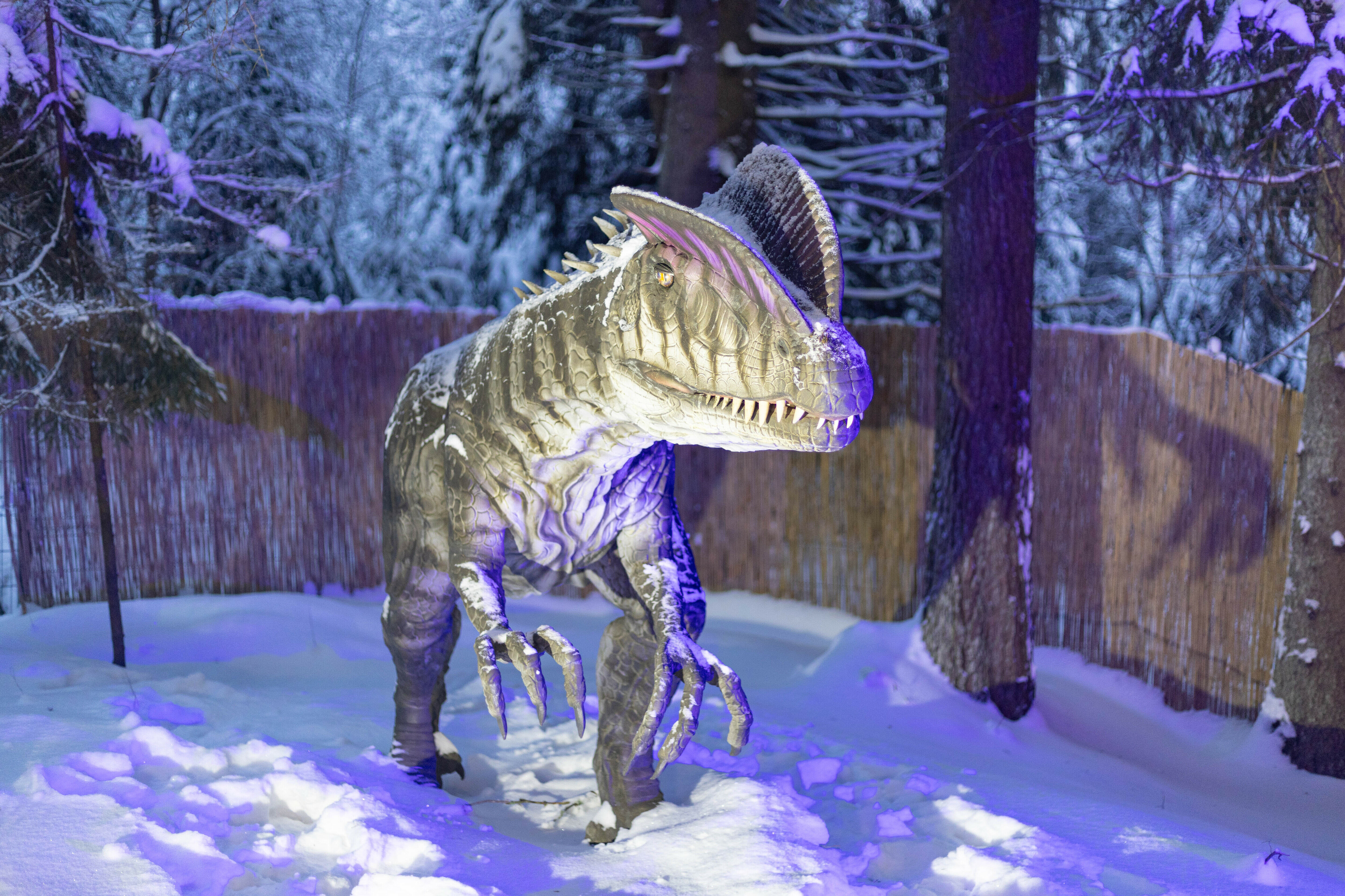 Фото Ваш образ жизни