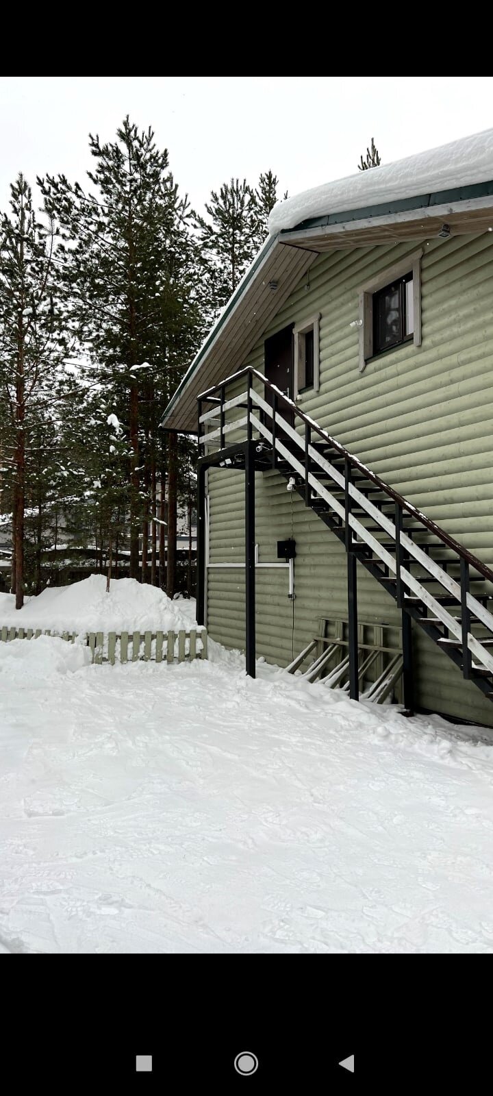 Фото Хвойный