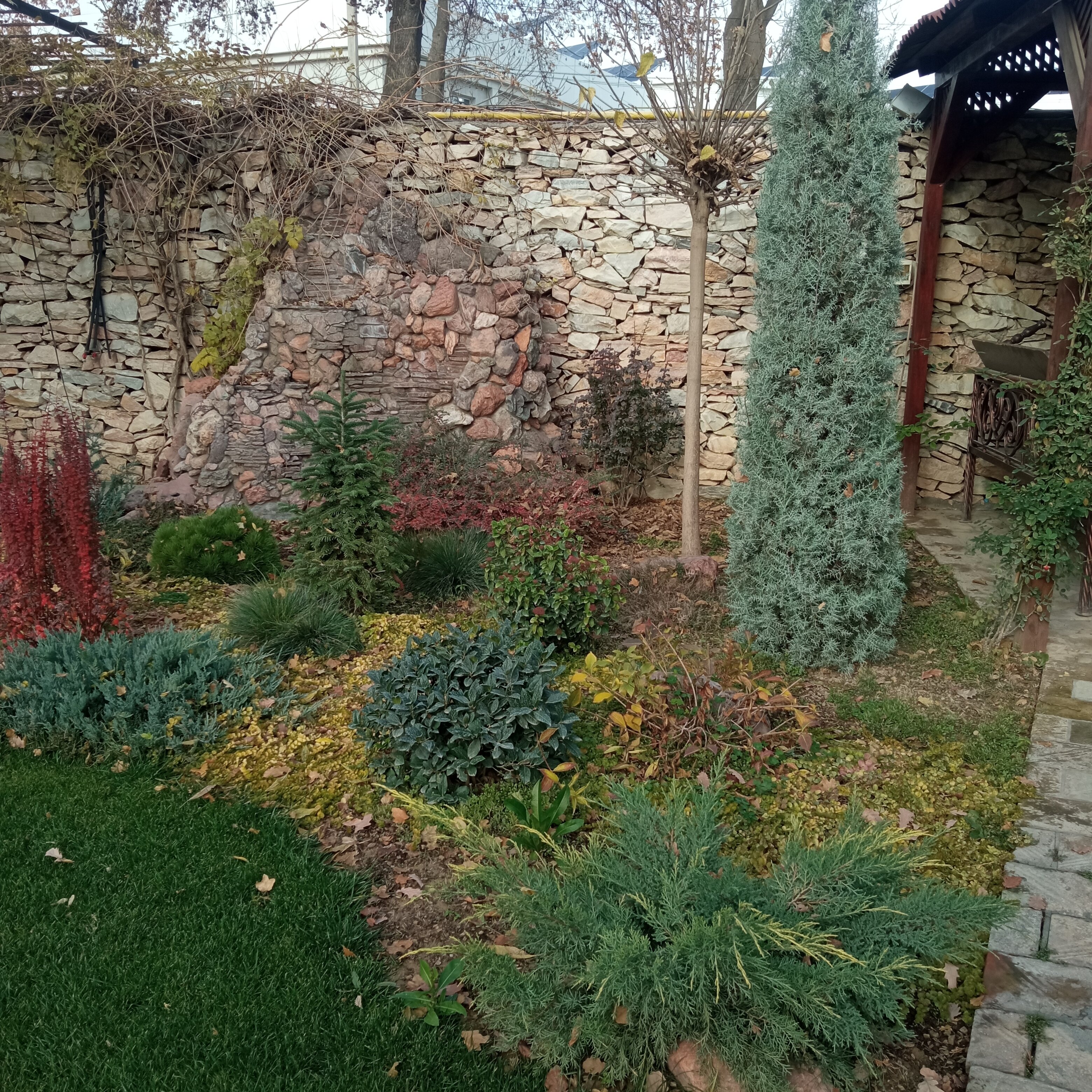 Фото Восток