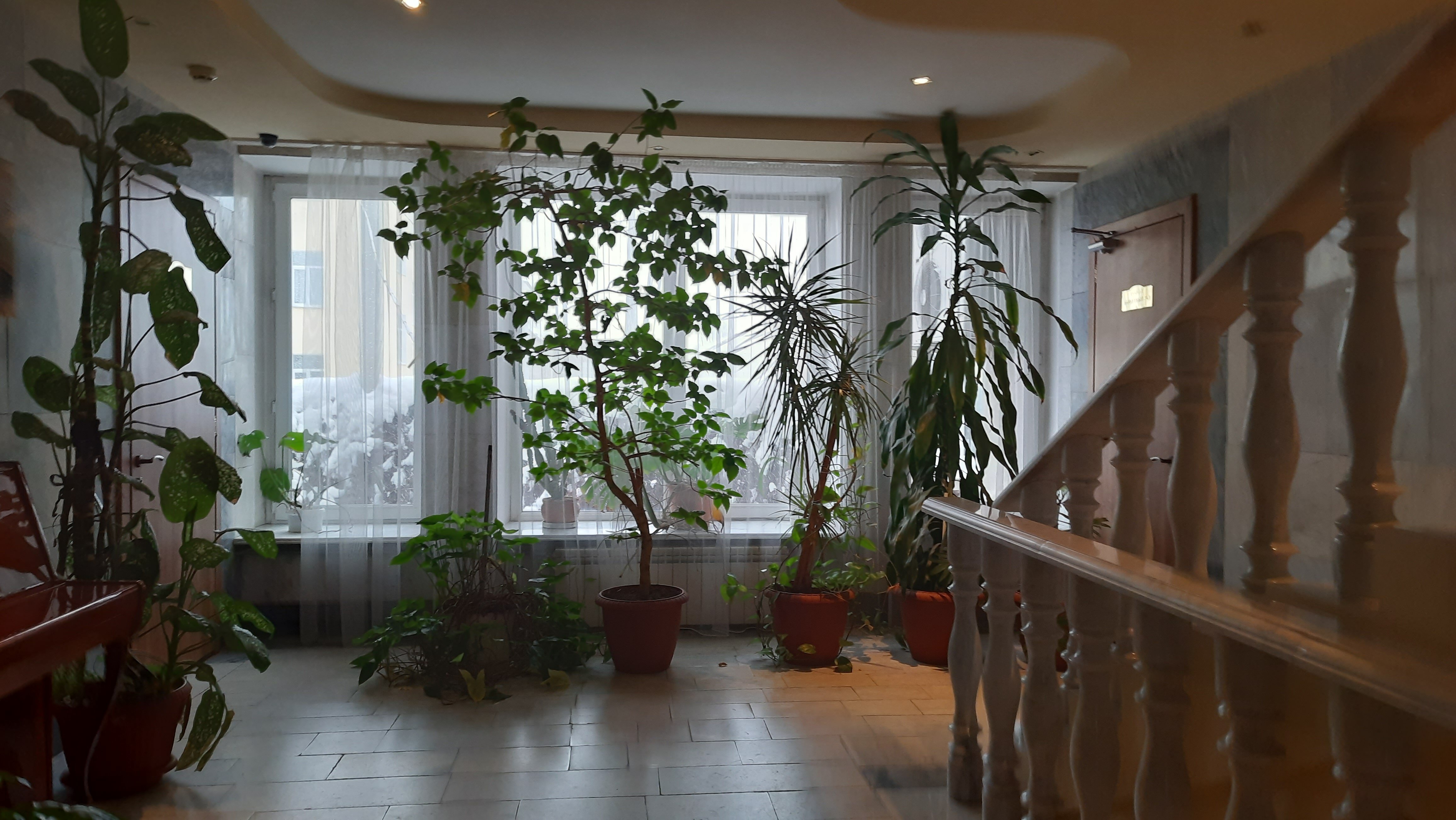 Фото Ryan Johnson