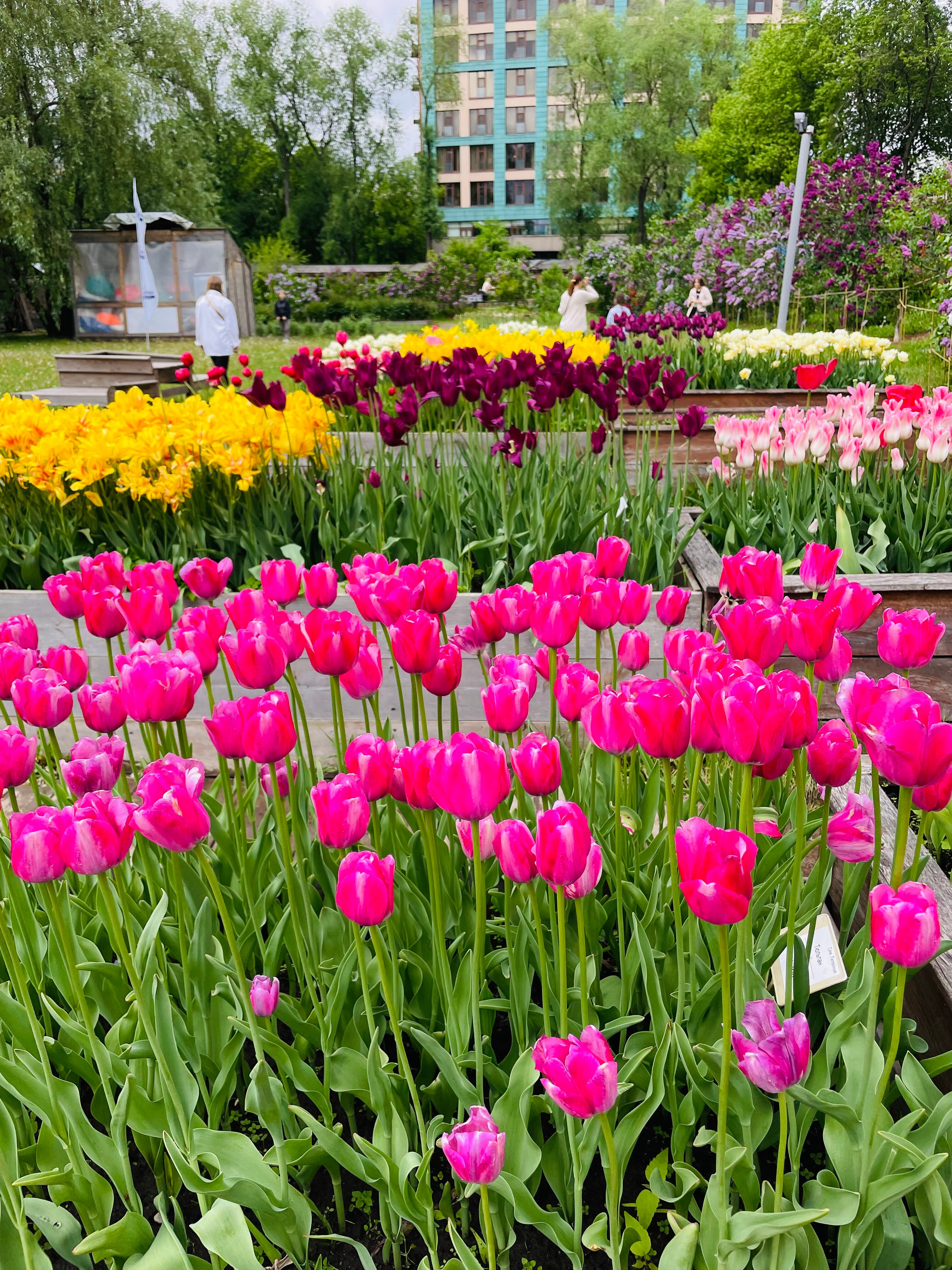 Фото Garden Embassy