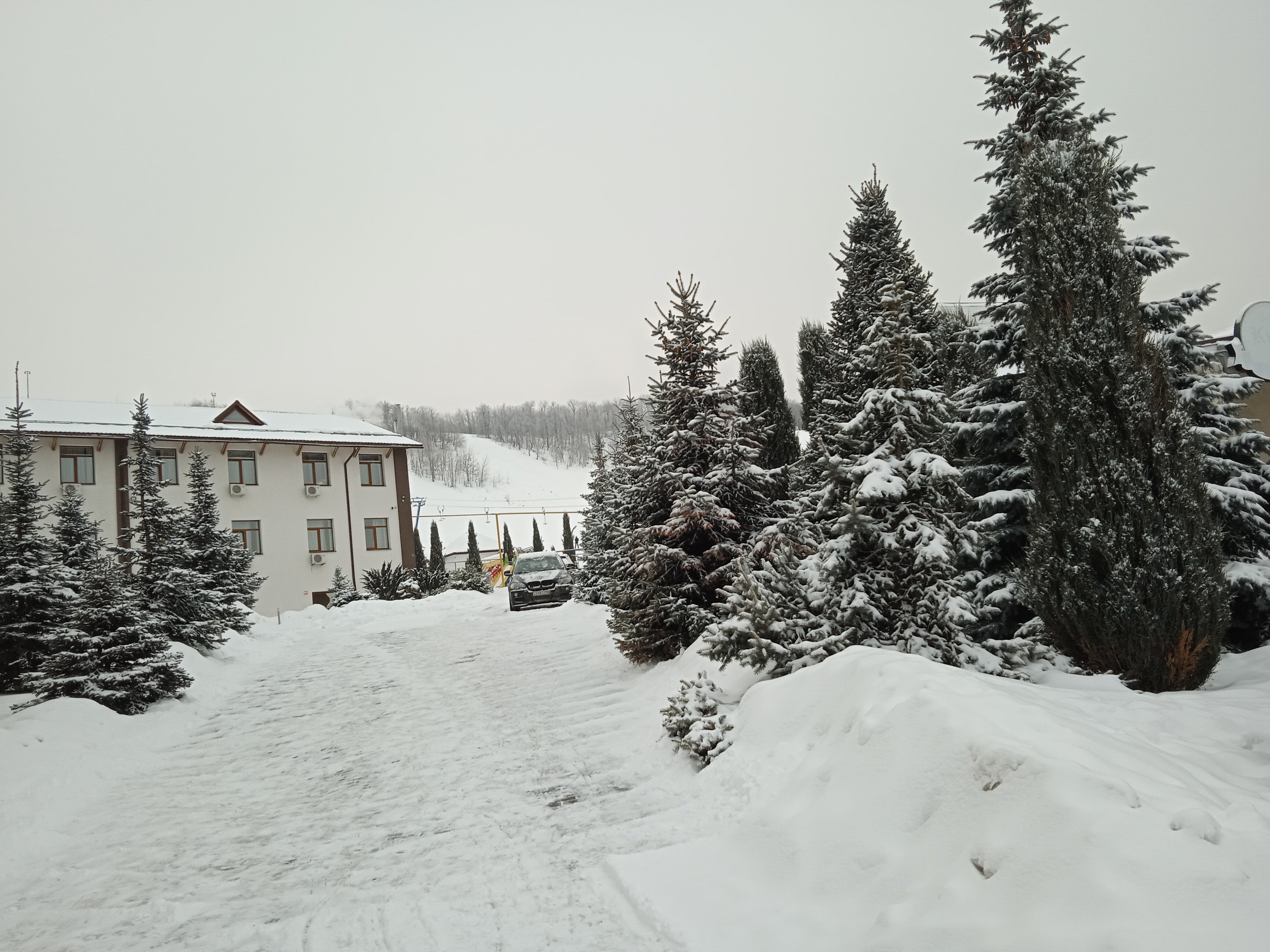 Фото Вишневая гора