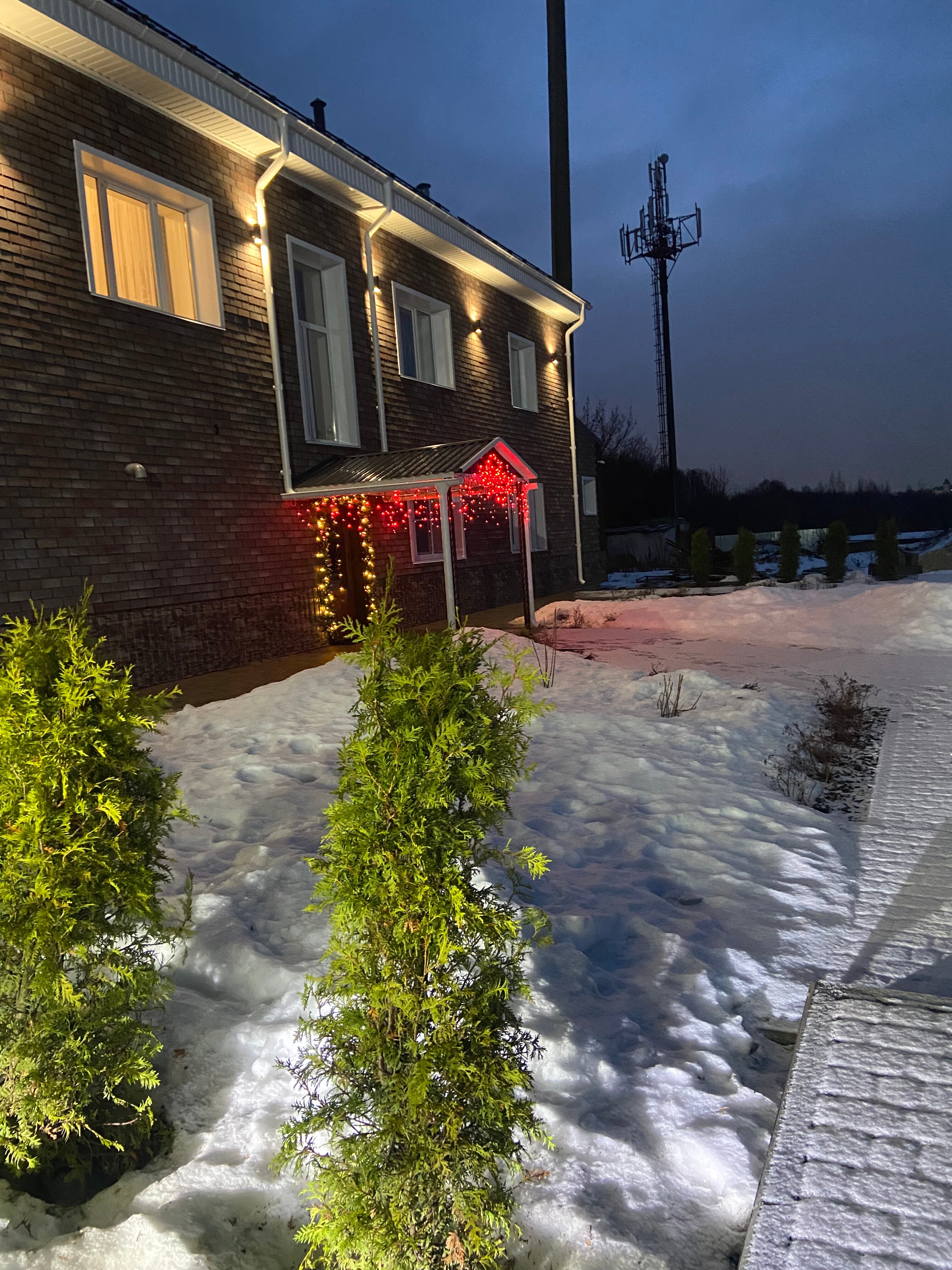 Фото Иволга