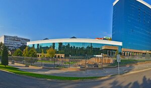 Foydalanuvchilarning shaxsiy jinsiy aloqa videolari