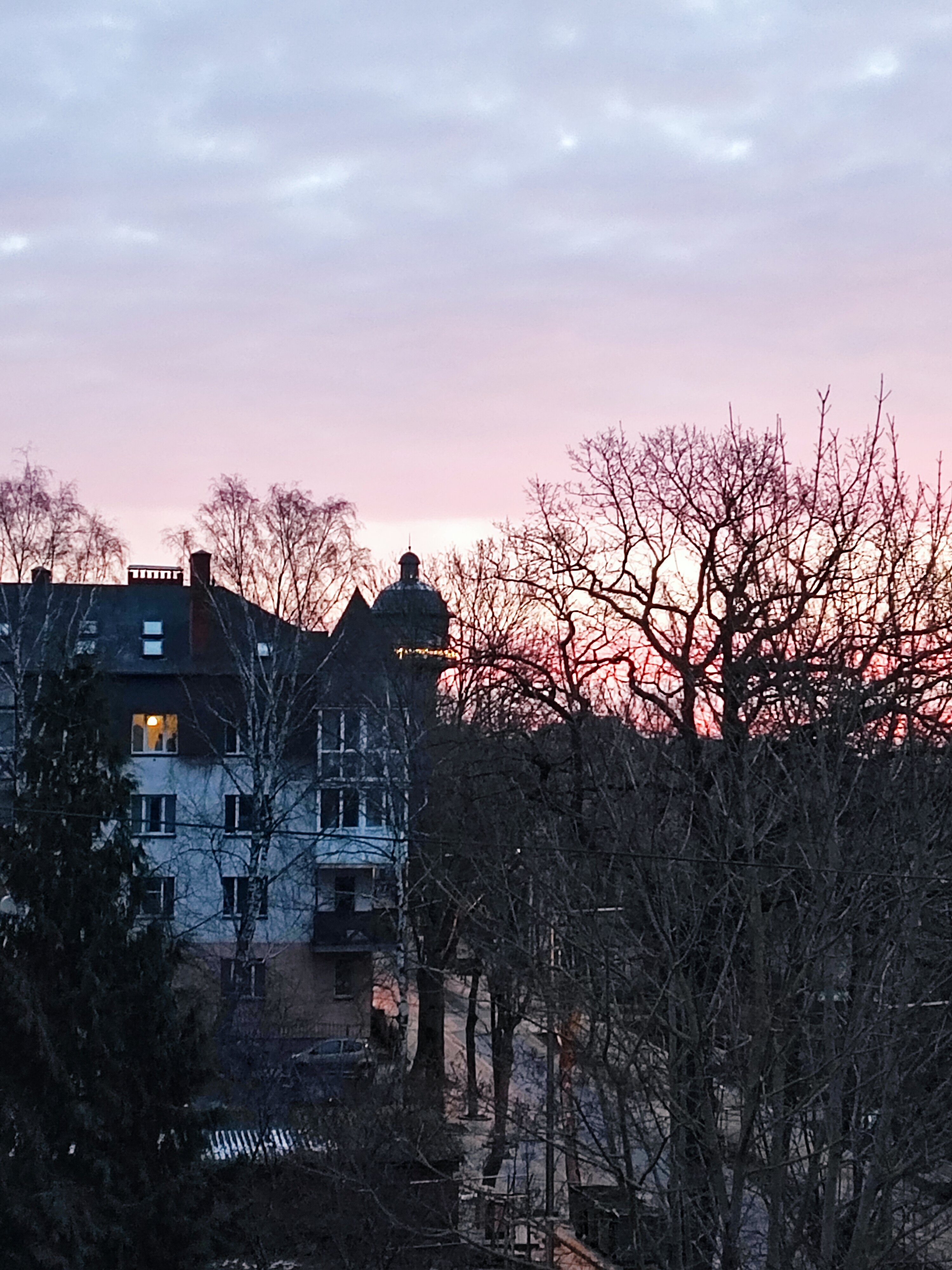 Фото Элиза ИНН