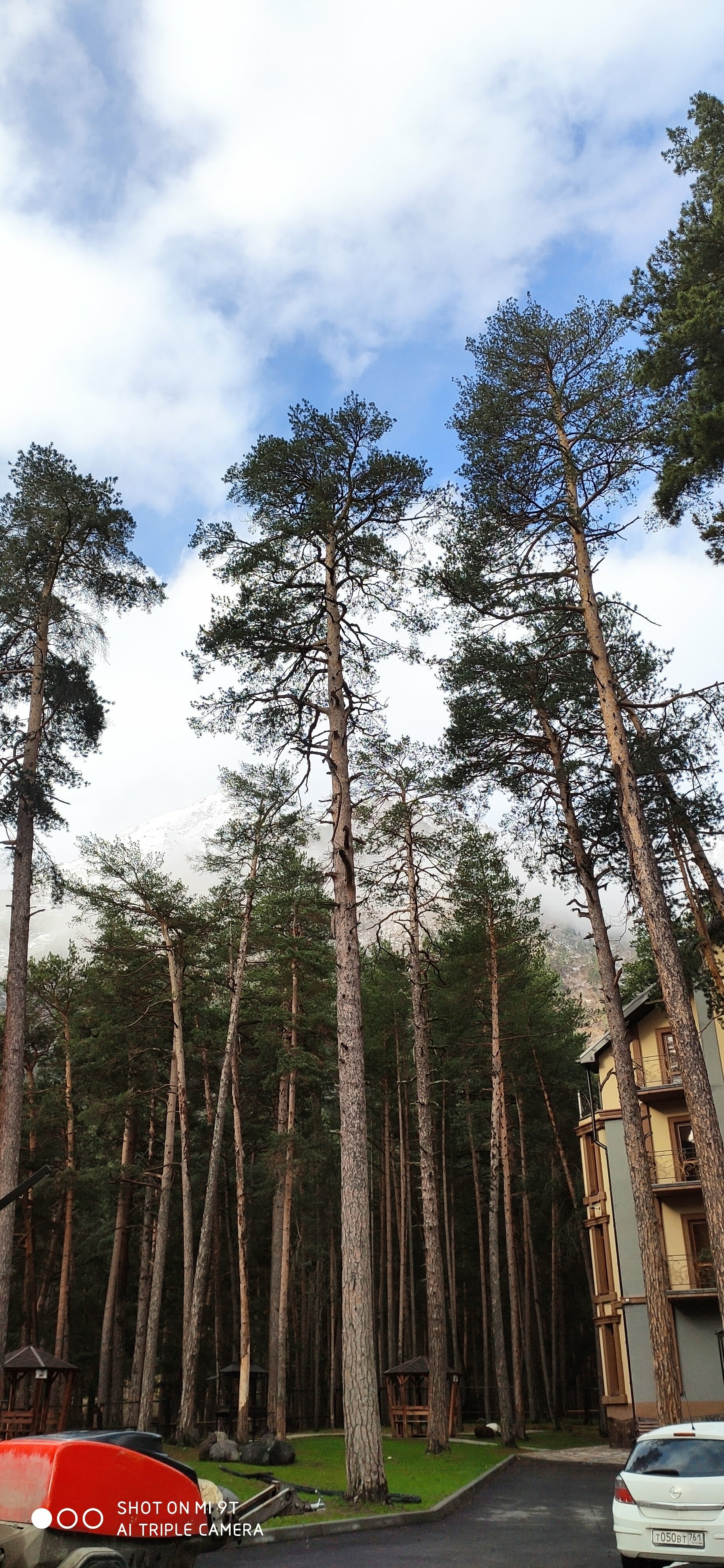 Фото Эль. Апартментс