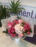 Compliment 67 (ulitsa Belyayeva, 1), organization of events