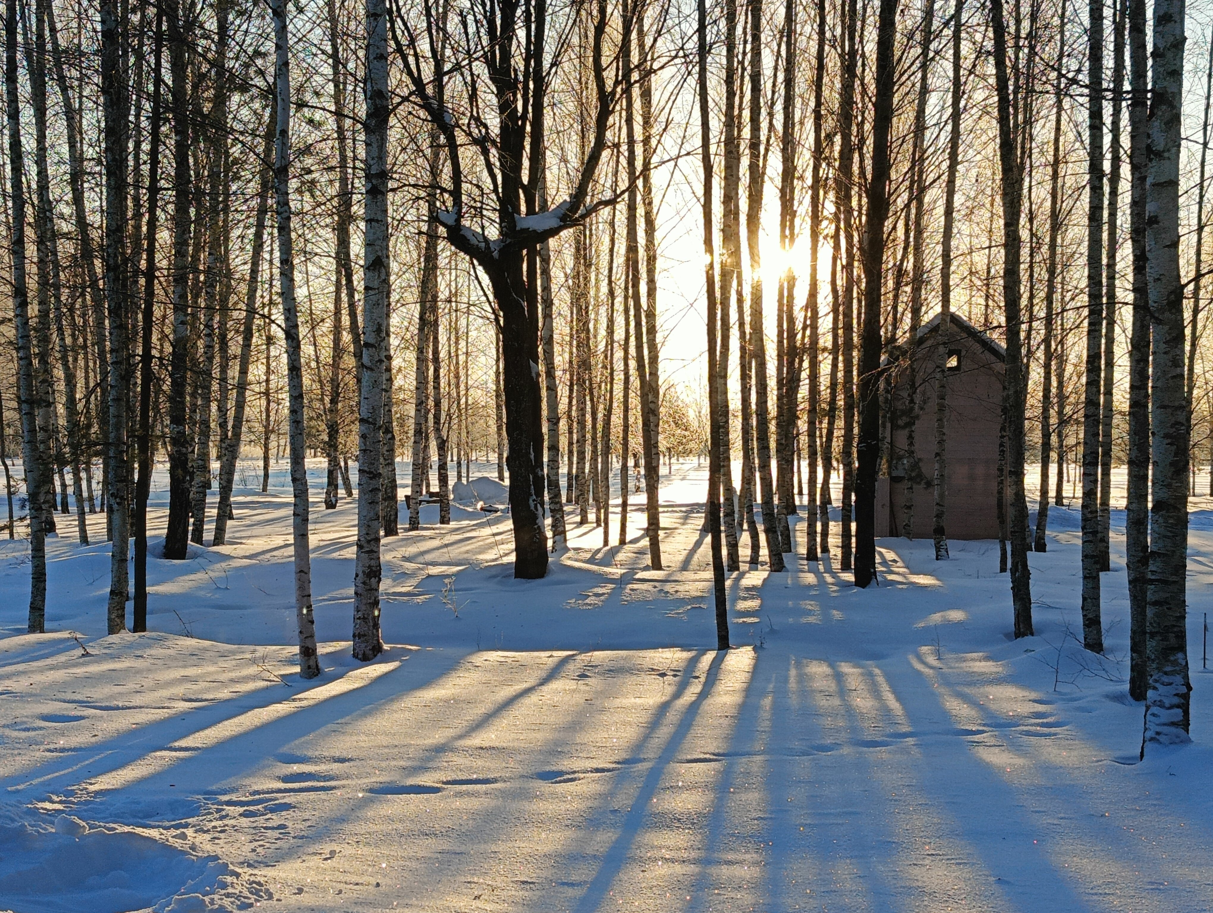 Фото Заповедник впечатлений