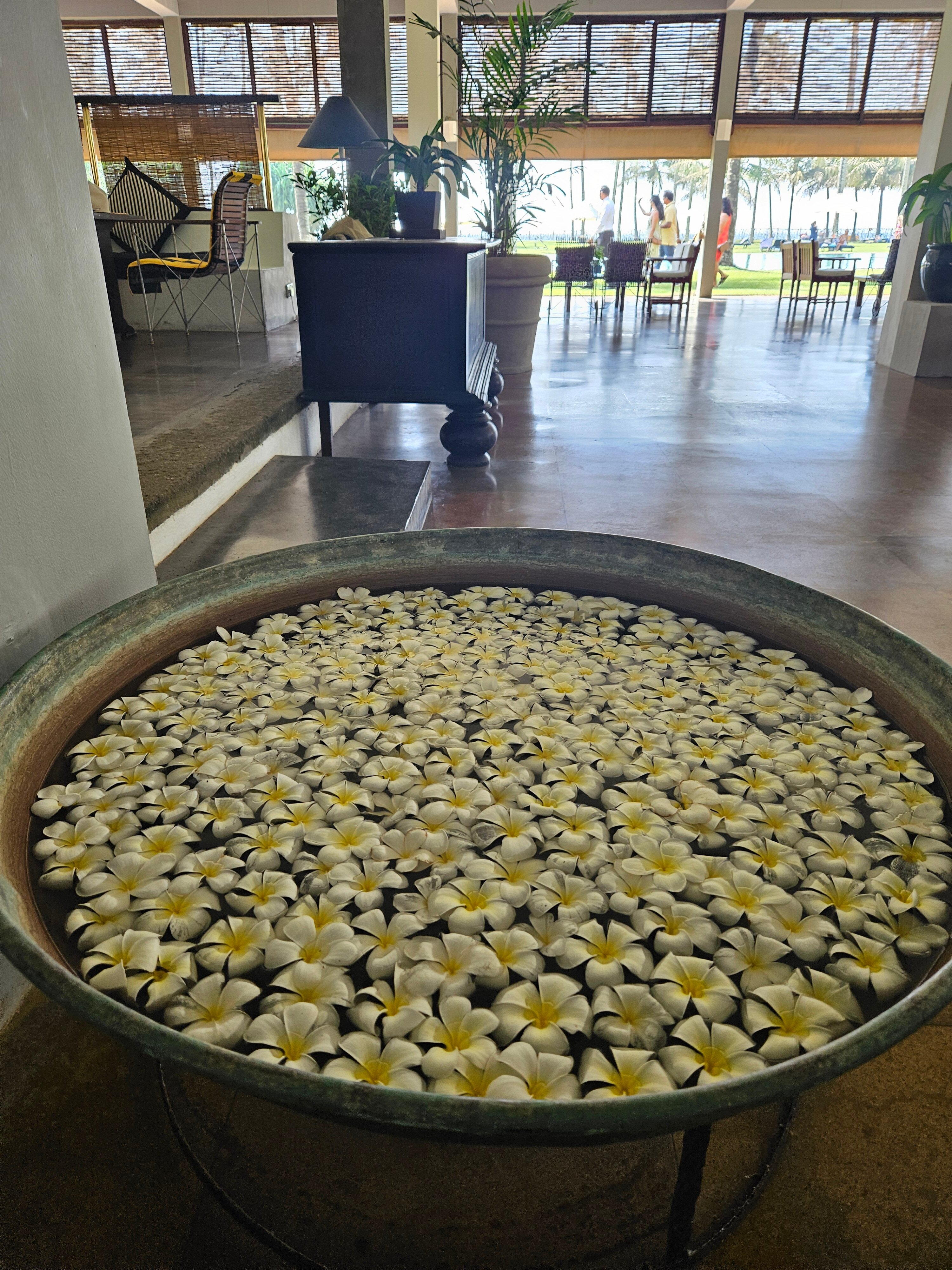 Фото The Blue Water