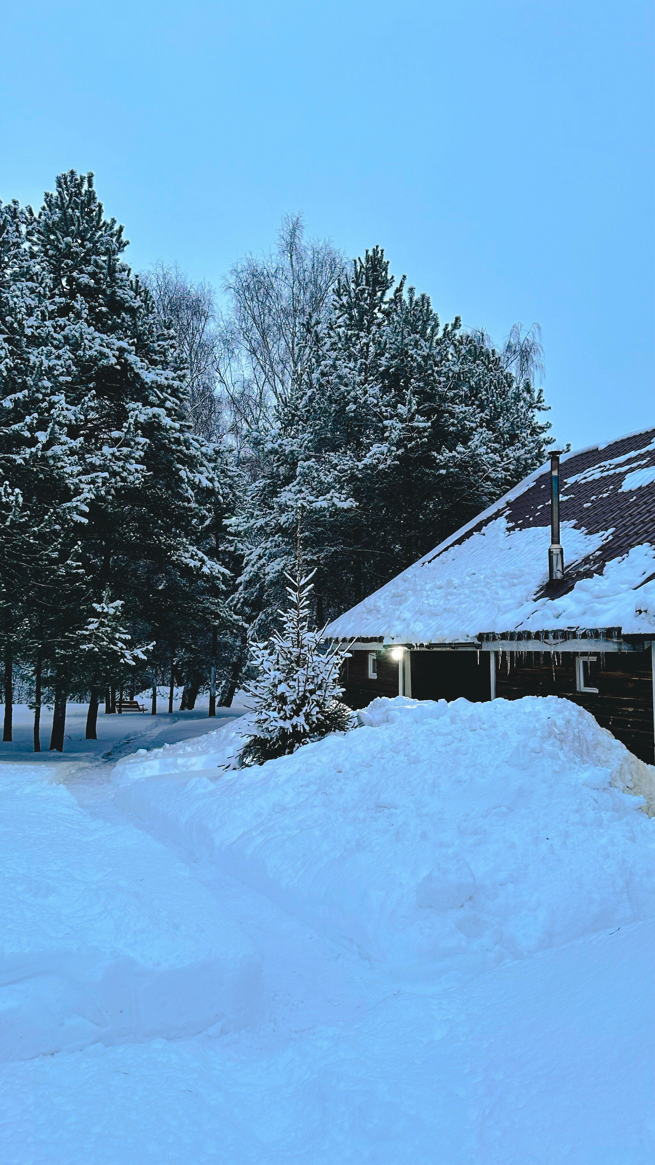 Фото Зелёная горка