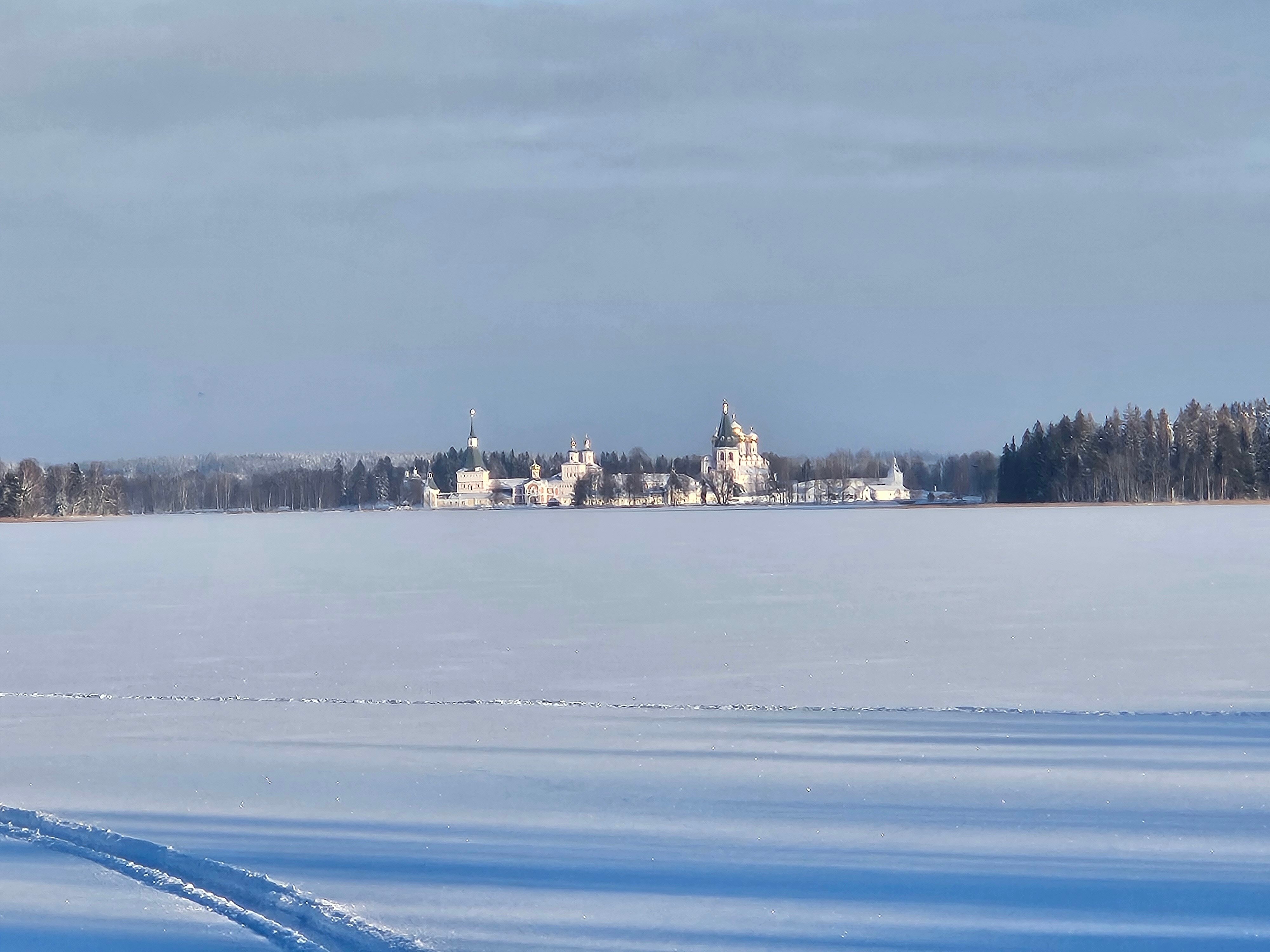 Фото Сорока