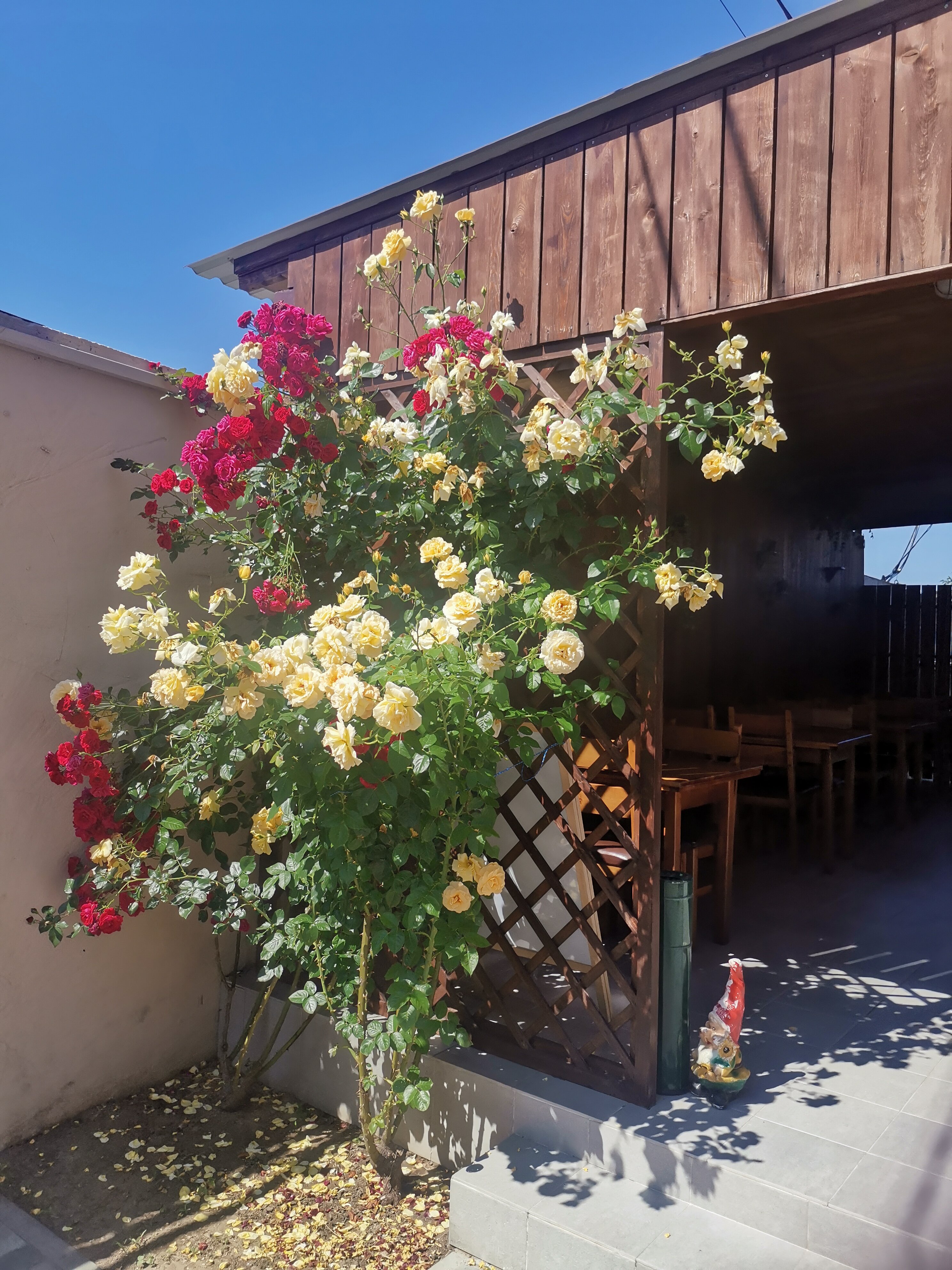 Фото Солнечный