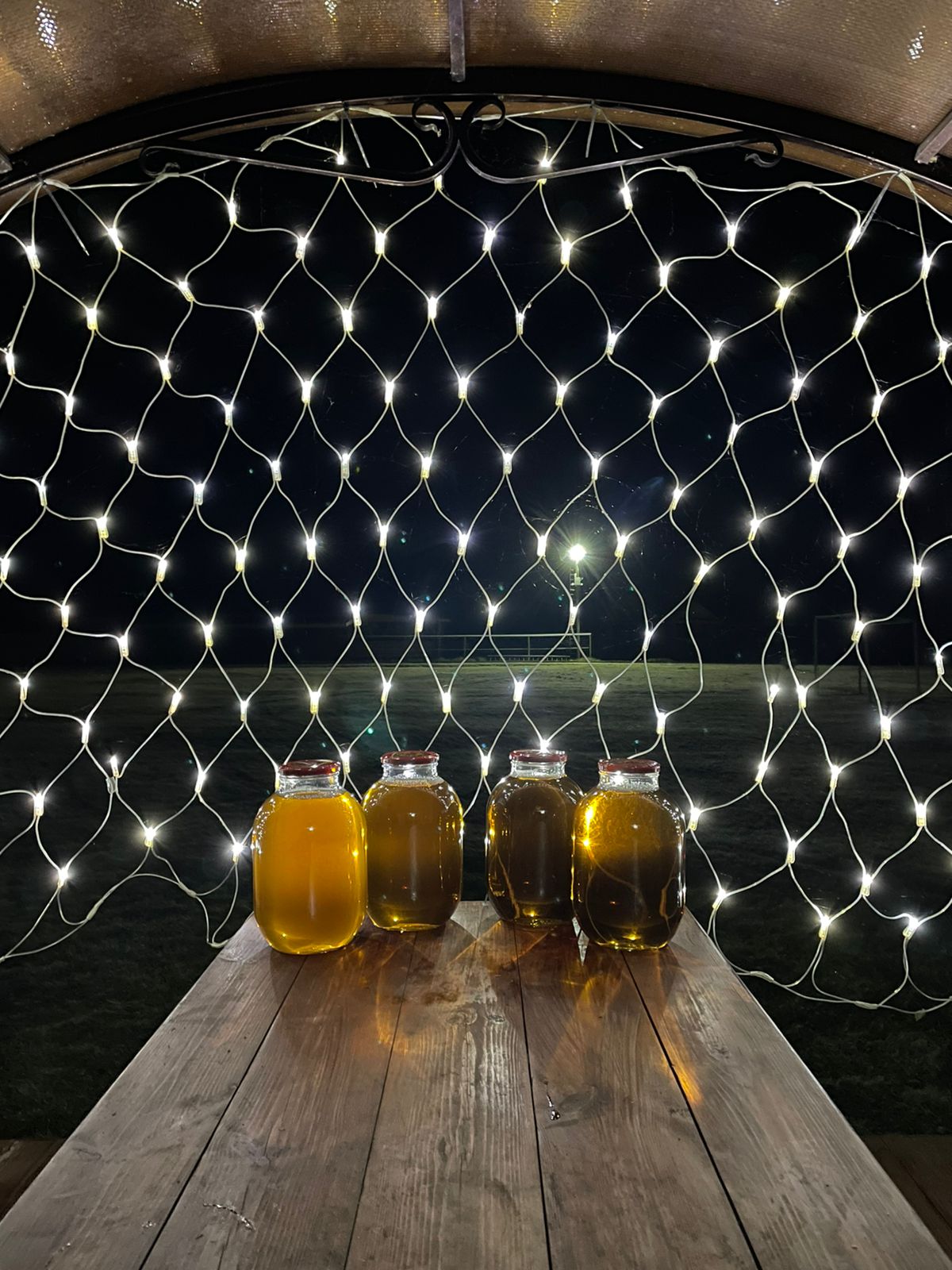 Фото Лесной скит