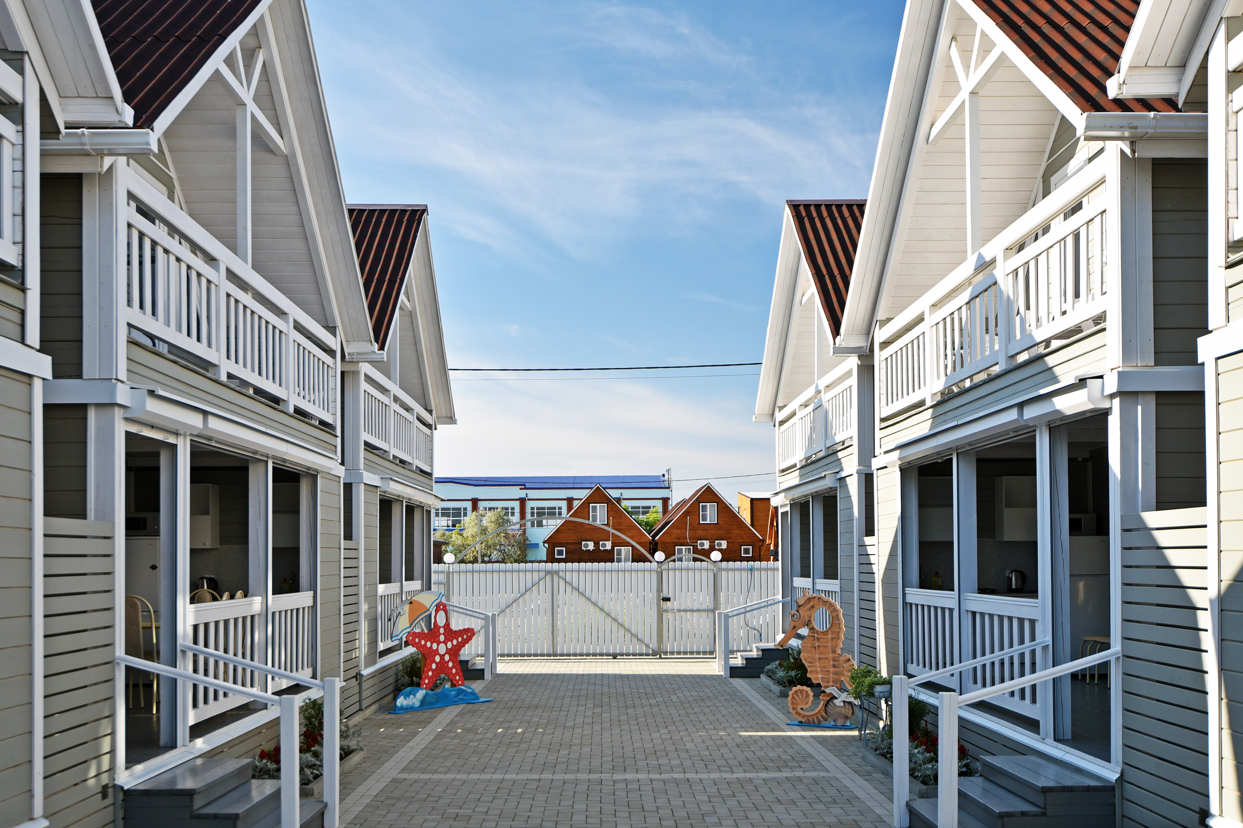 Фото Азовская чайка