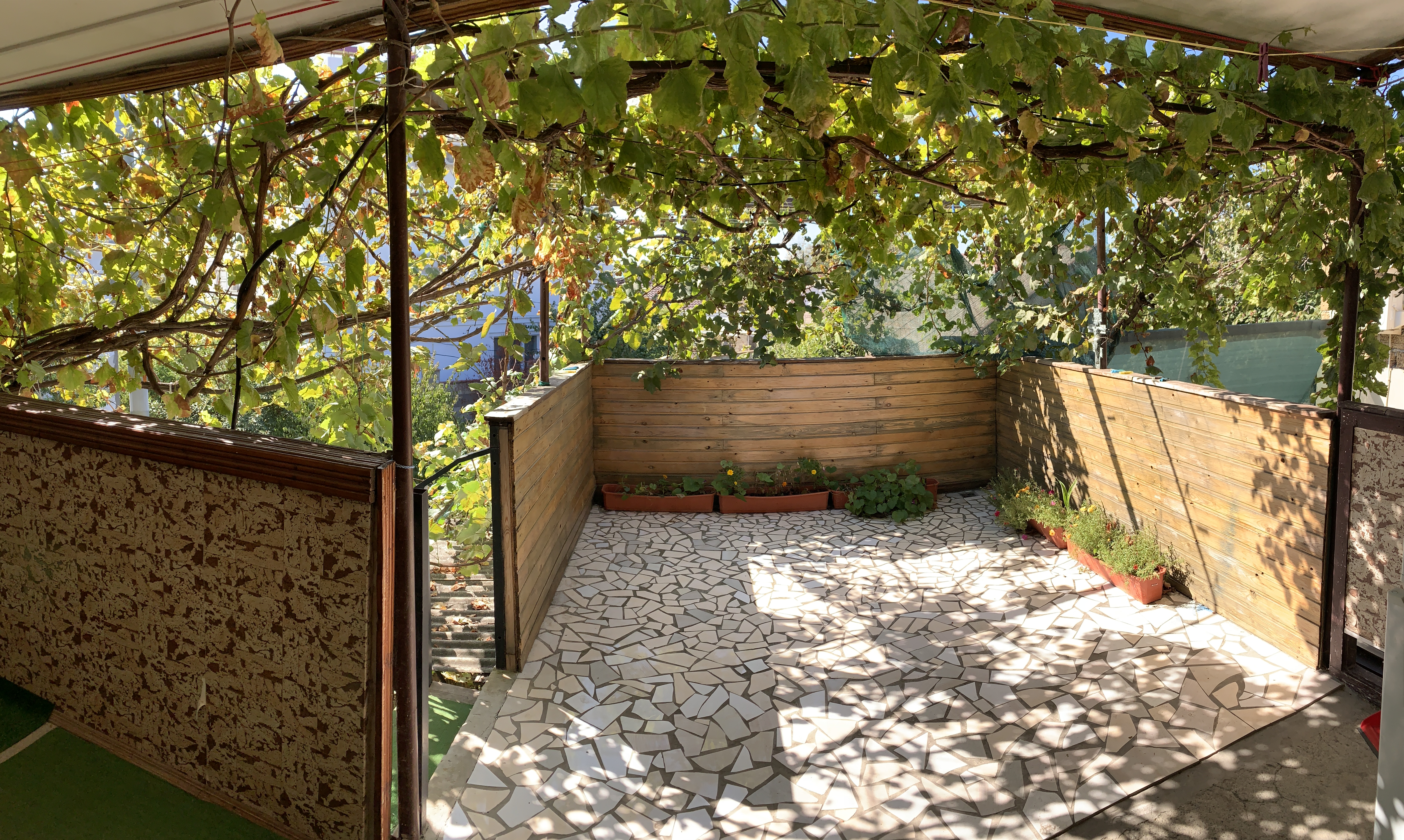 Фото Морелюб