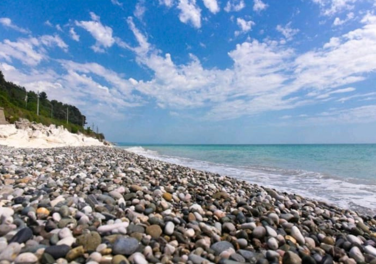 Фото Коралл