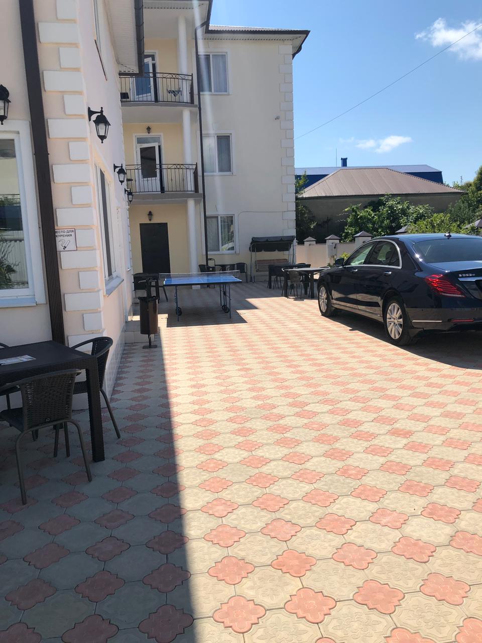 Фото Дельфин