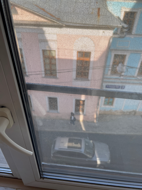 Фото Элизиум