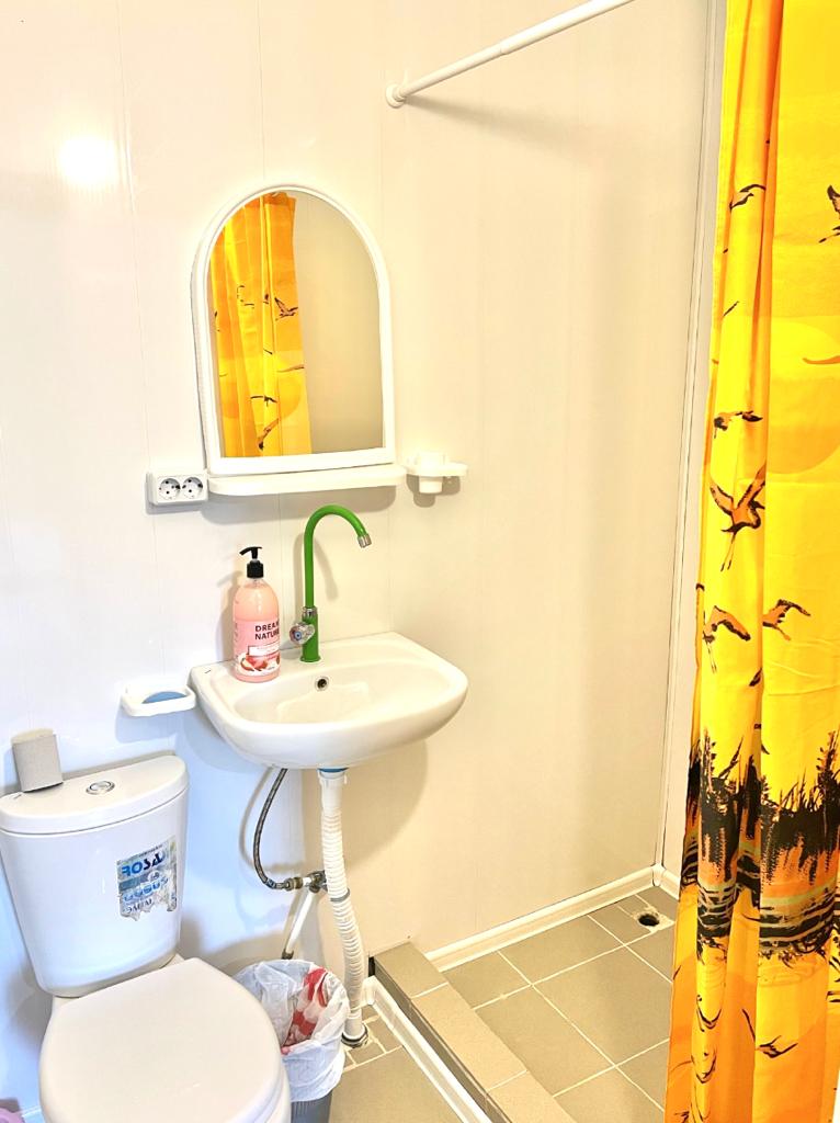 Фото Ласточка