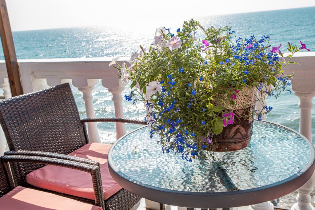 Фото Эллинг Дважды два