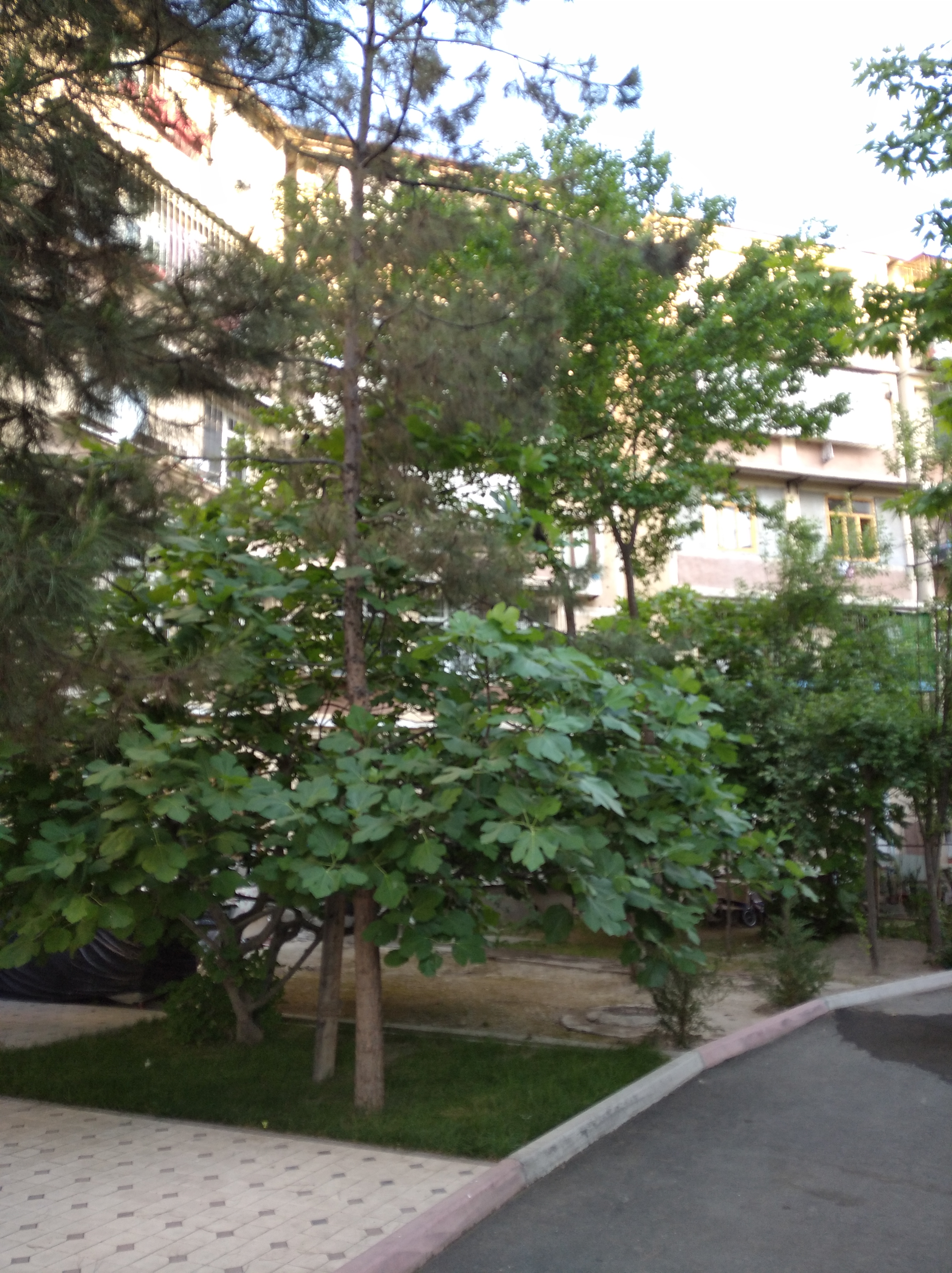 Фото Wyndham Garden Tashkent