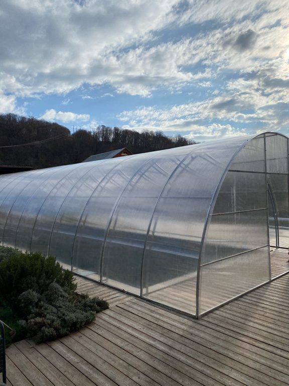 Фото Лесная поляна