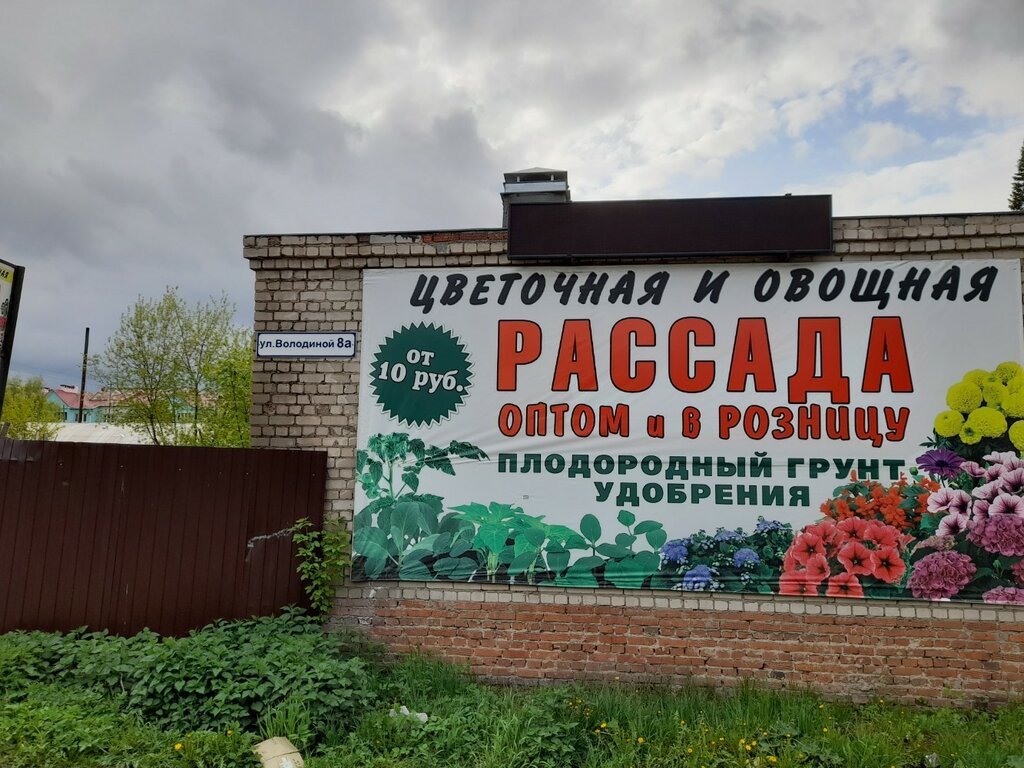 مناظر طبيعية في مناطق حضرية Ивановское предприятие по благоустройству ، ، صورة