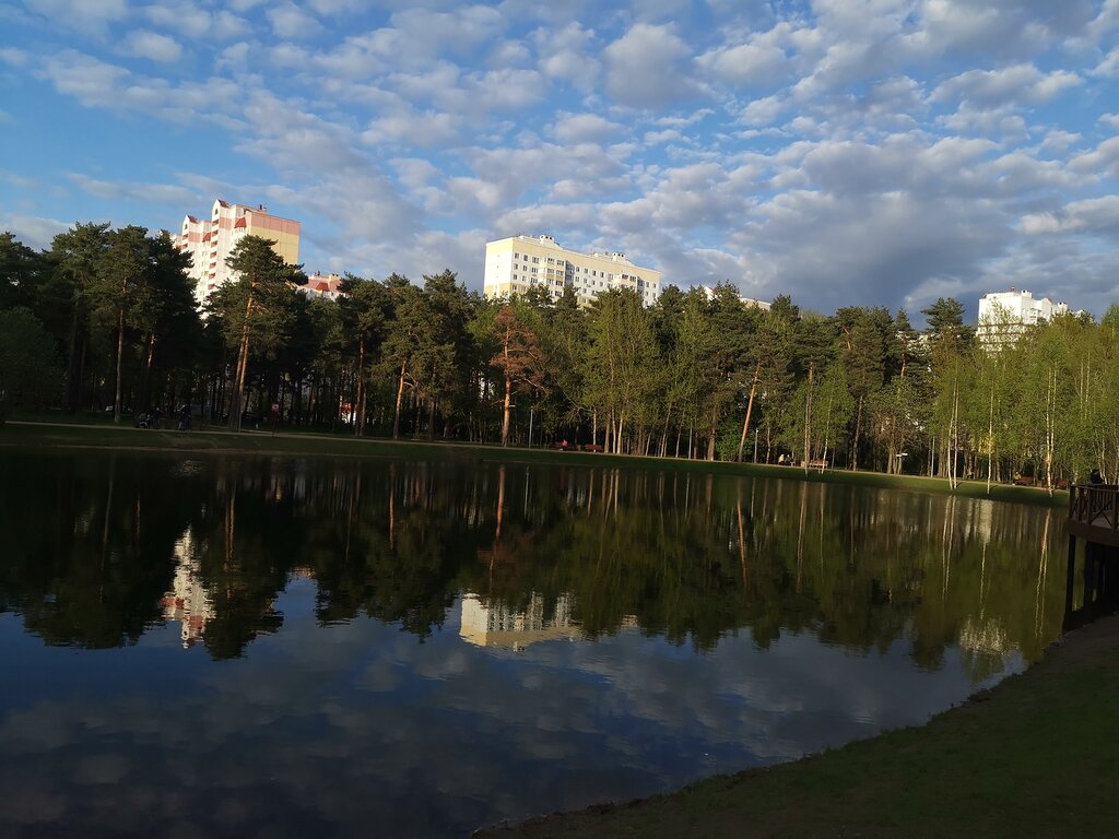 Лесопарк Салтыковский лесопарк, Москва и Московская область, фото