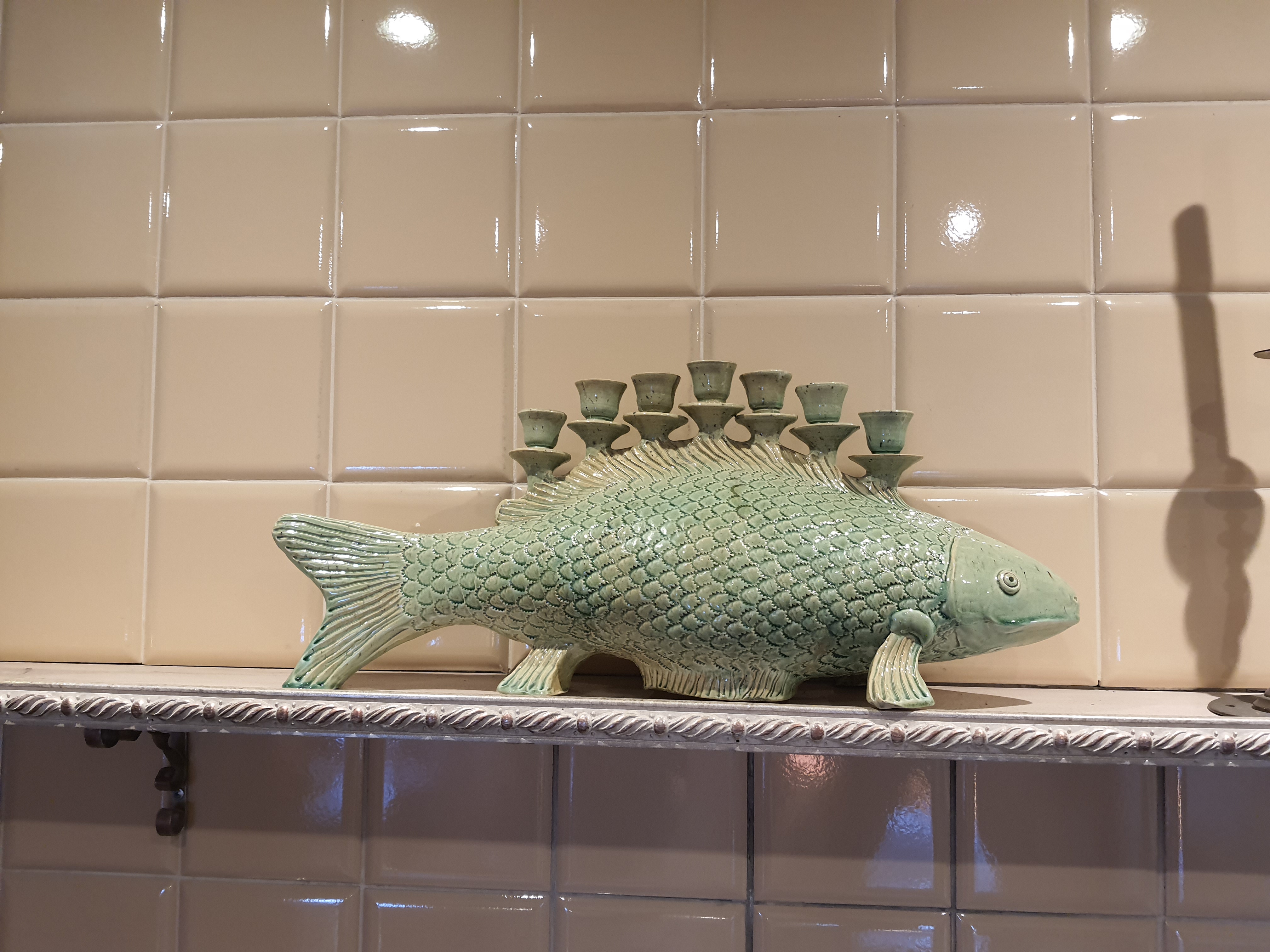 Фото Боровница