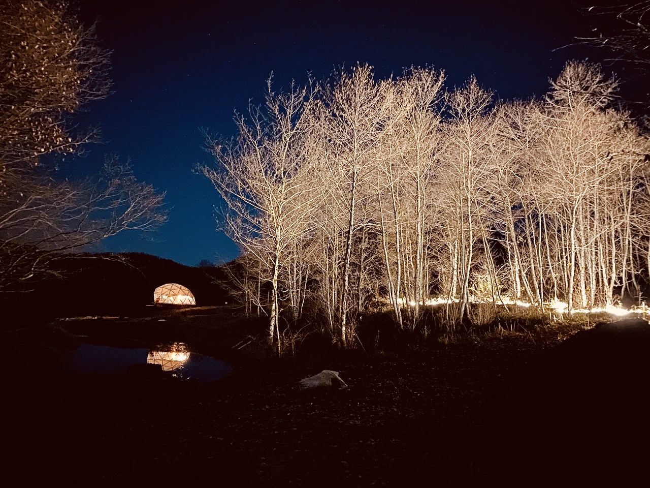 Фото Пермапарк