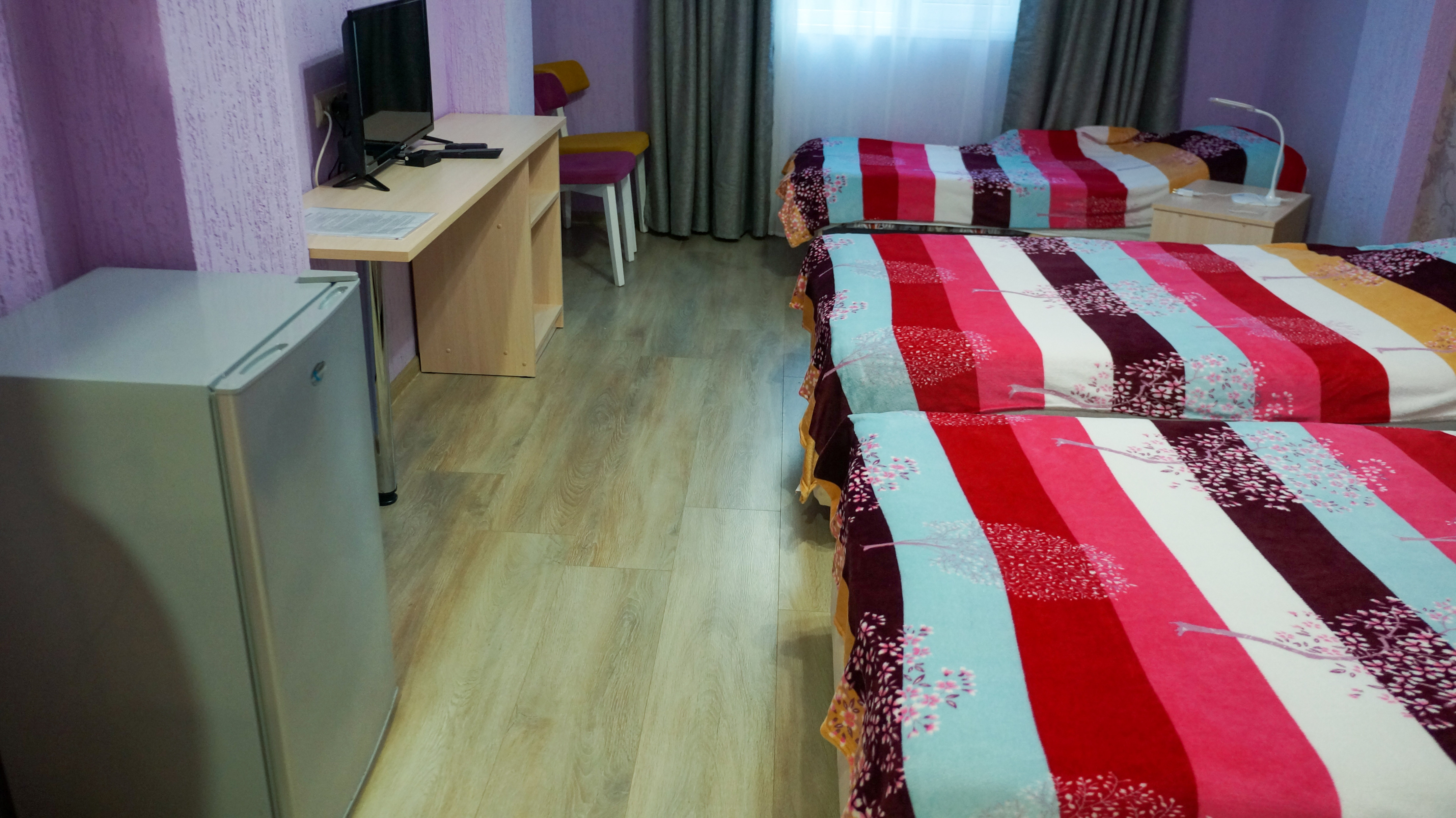 Фото Лаванда