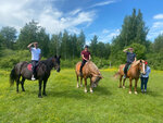 Конный клуб Аргамак (Pskov Region, Pushkinogorsky District, munitsipalnoye obrazovaniye Pushkinogorye, derevnya Bogomoly, derevnya Stanoshniki), horse riding