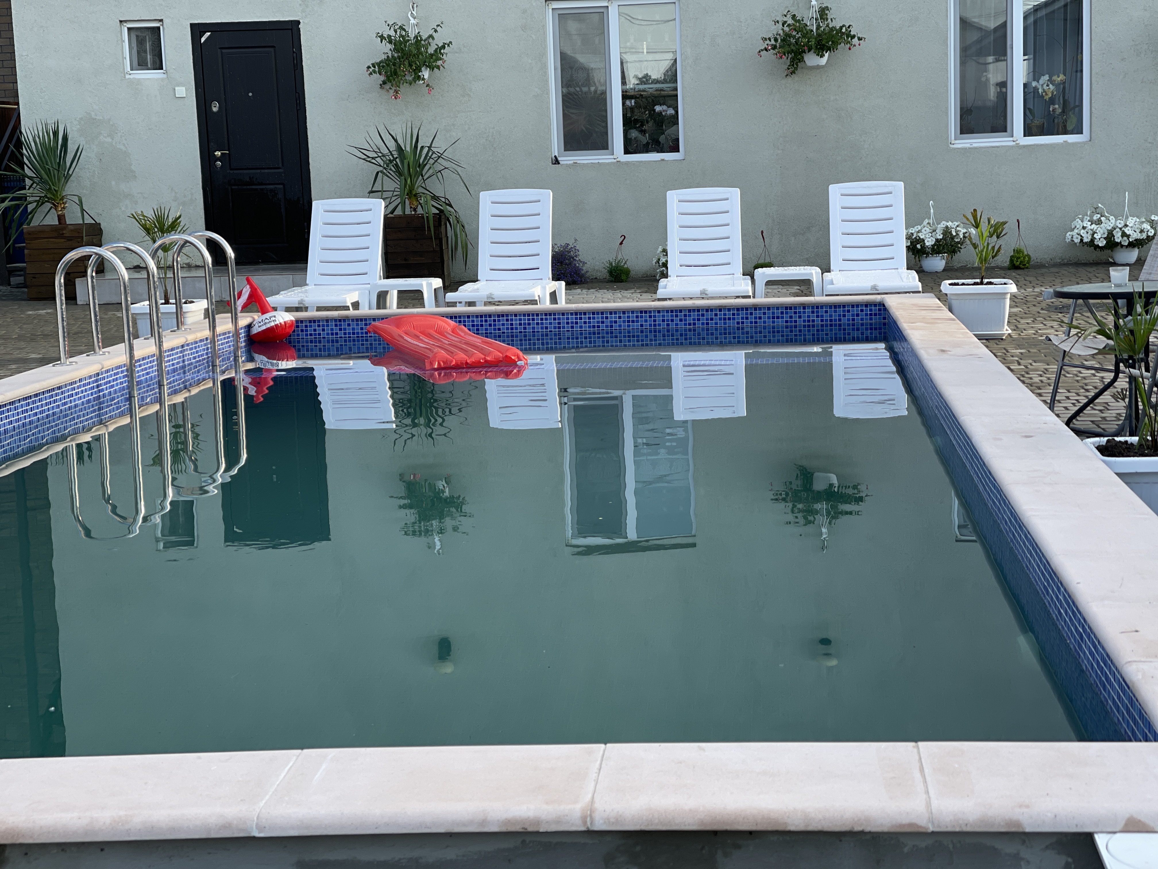 Фото Домион