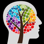 Harvest Therapeutic Services (United States, Denver, 1780 S Bellaire St Suite 801), psychological service