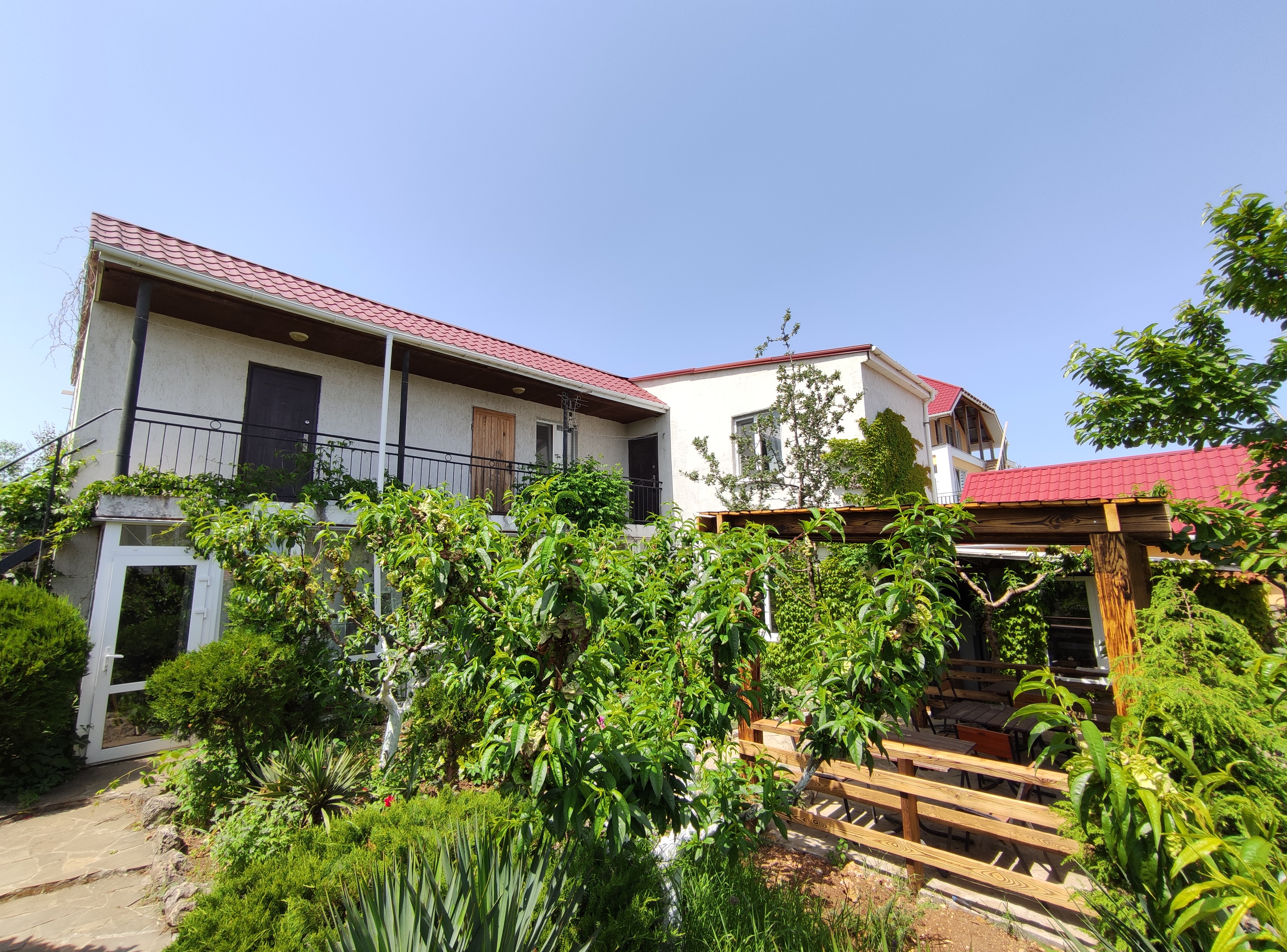 Фото Фиолентовский