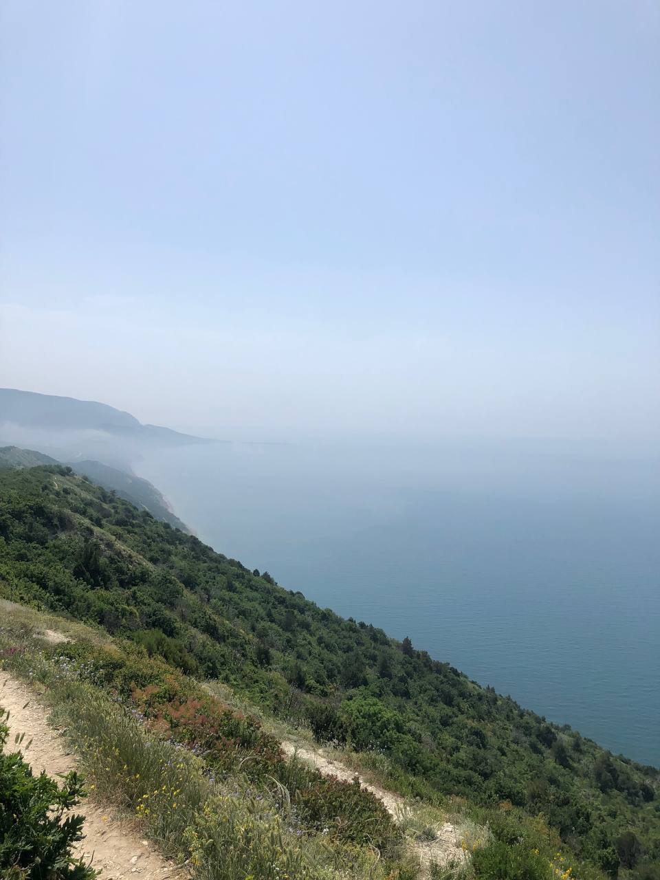 Фото Наша Чаша