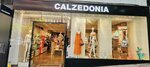 Calzedonia (Calpe, Avenida Gabriel Miro, 18), clothing store