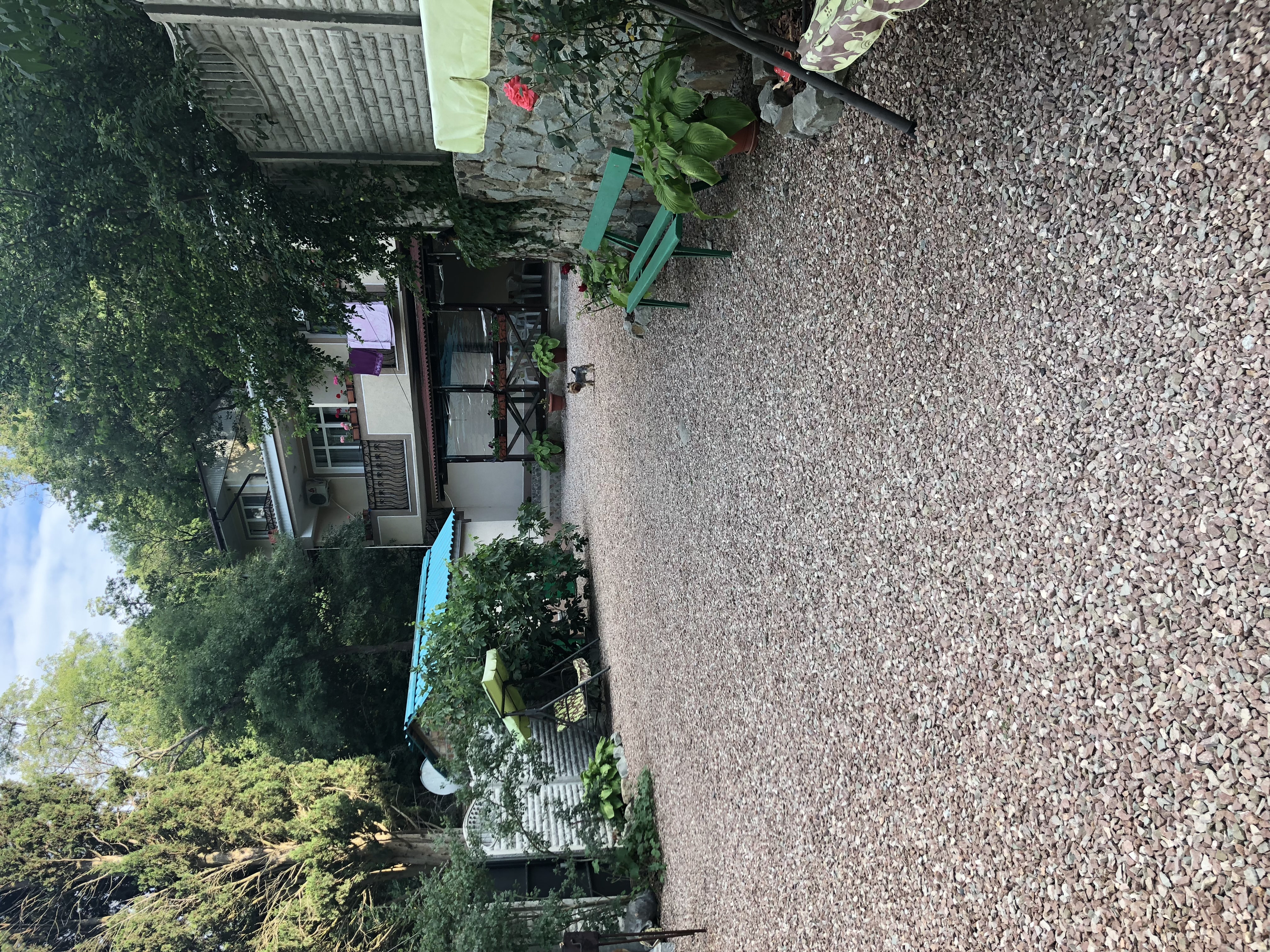 Фото Феерия