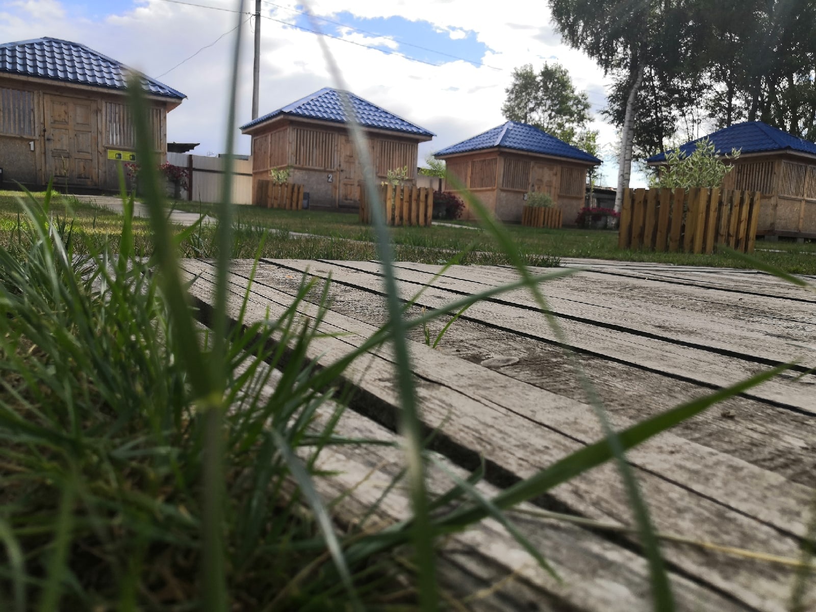 Фото Калинка