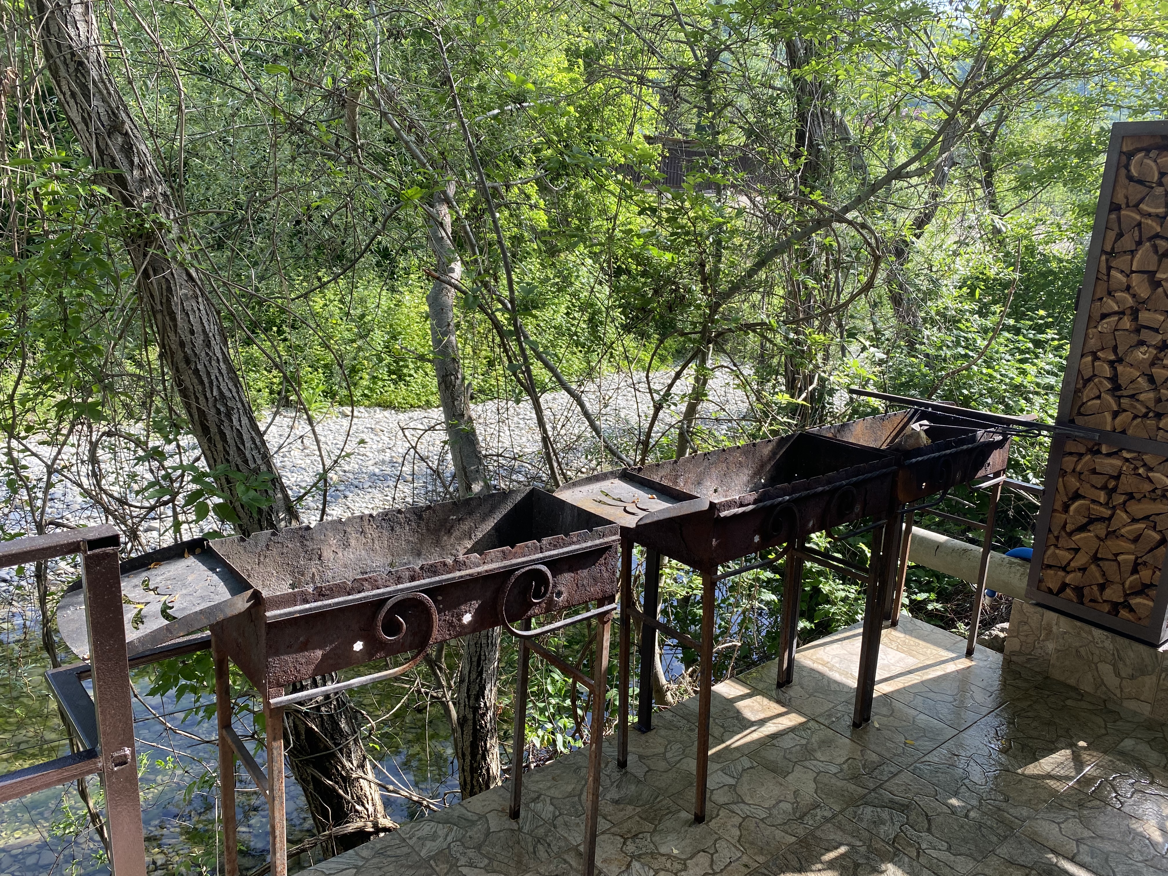 Фото Вероника