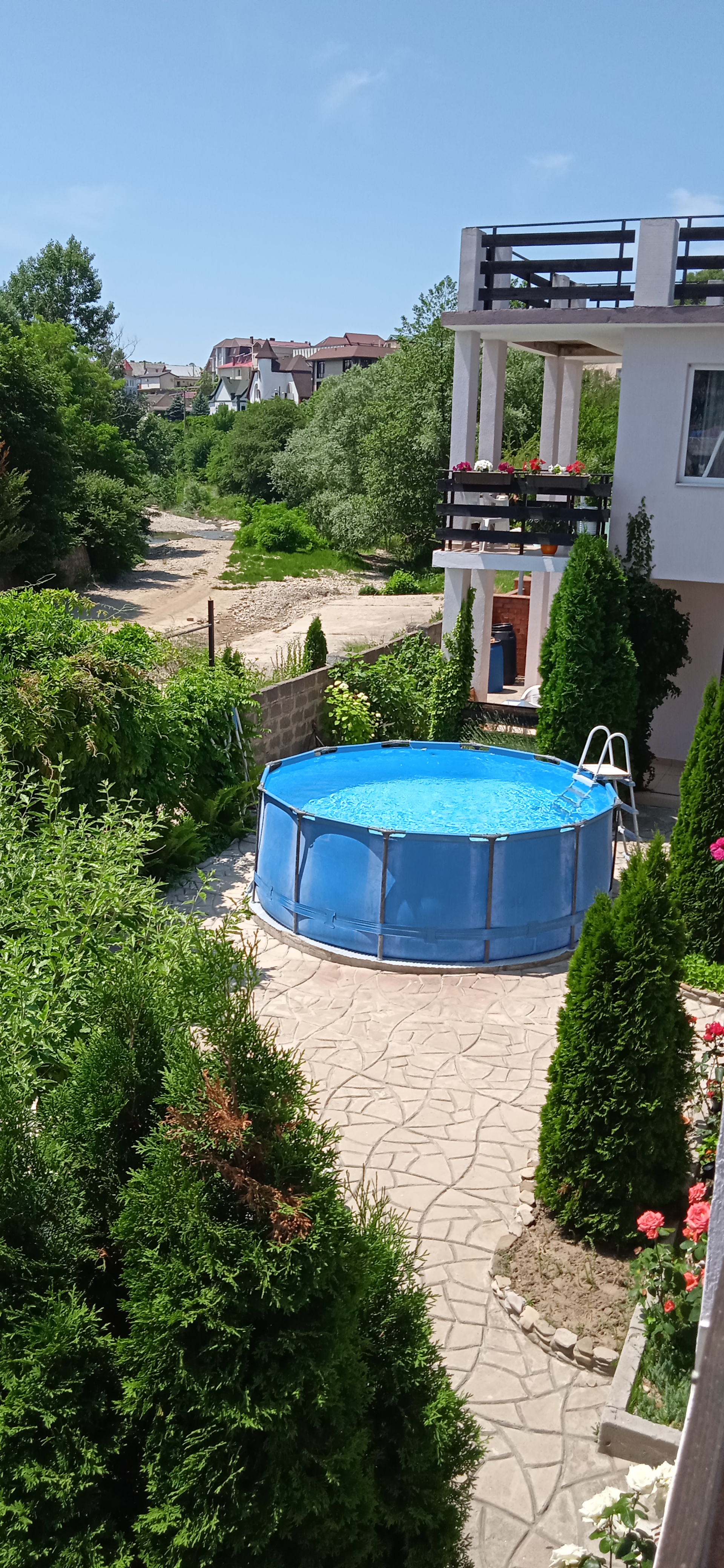 Фото Пчелка