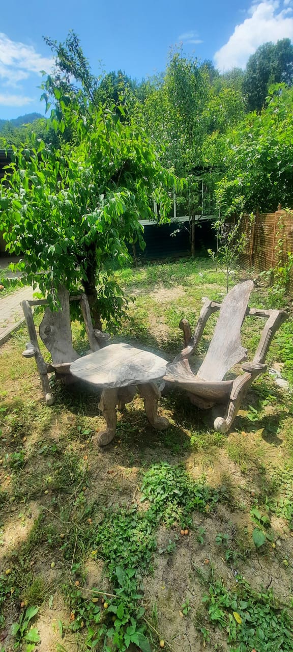 Фото Приют у реки