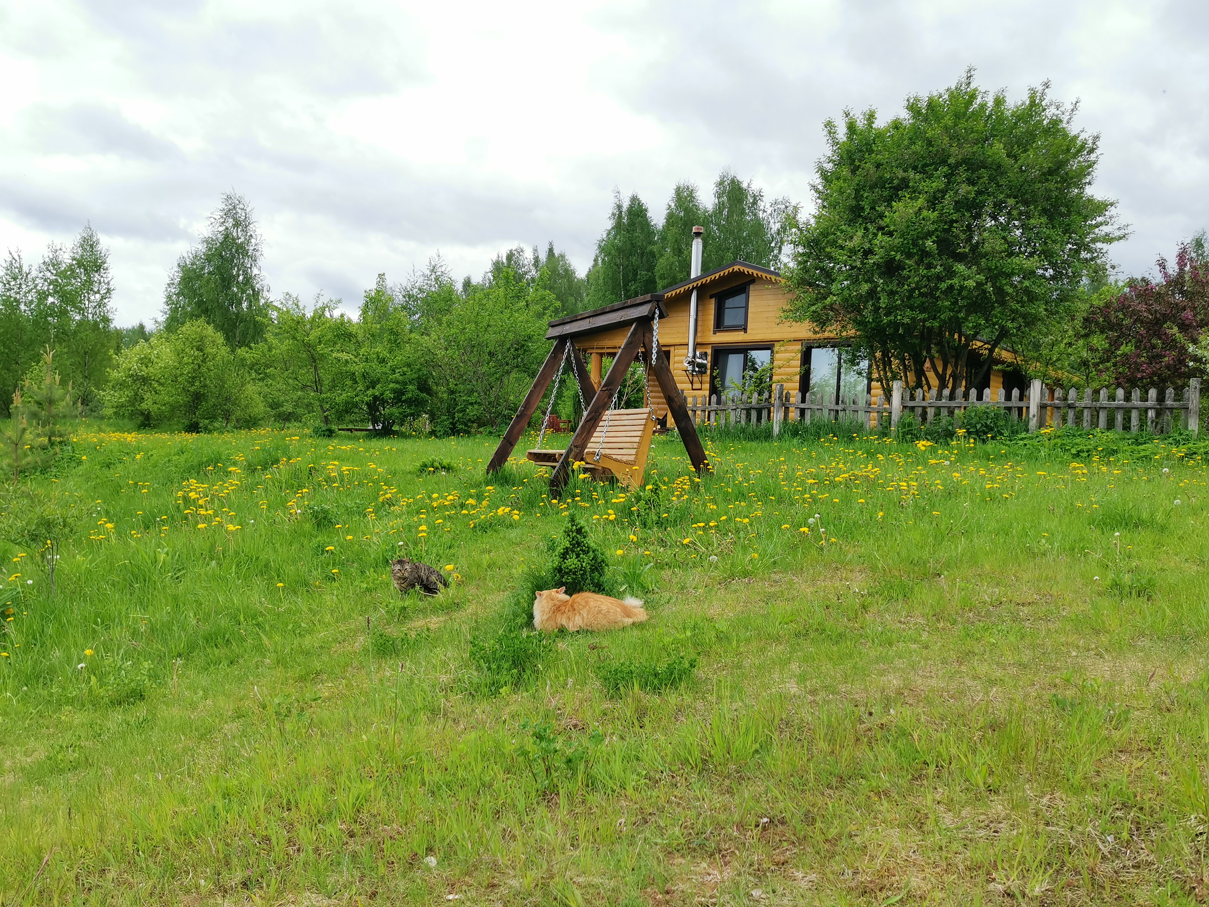 Фото Псковские дали