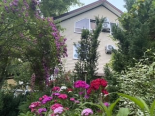 Фото Никель